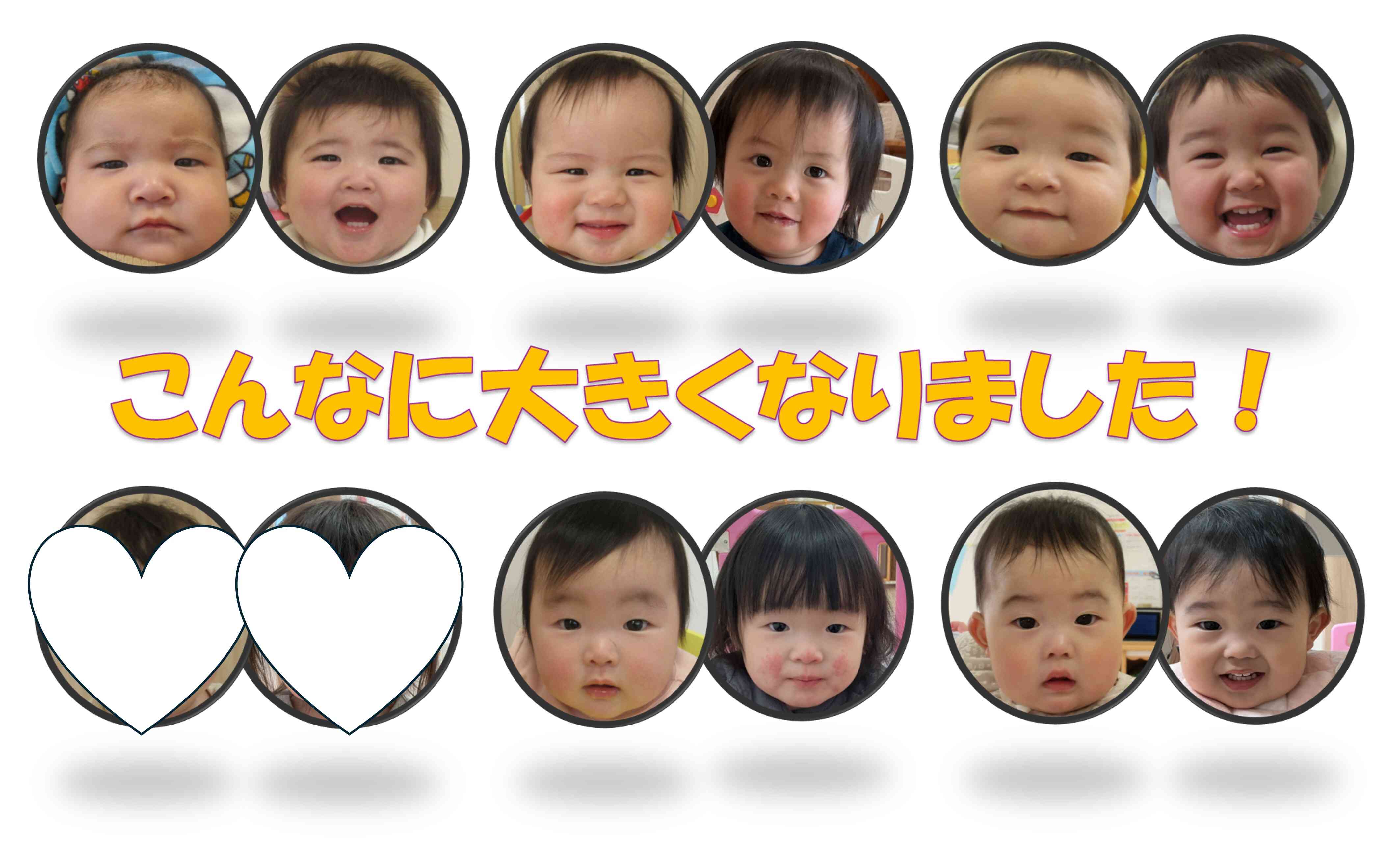 ひよこ組の様子~こんなに大きくなりました!~