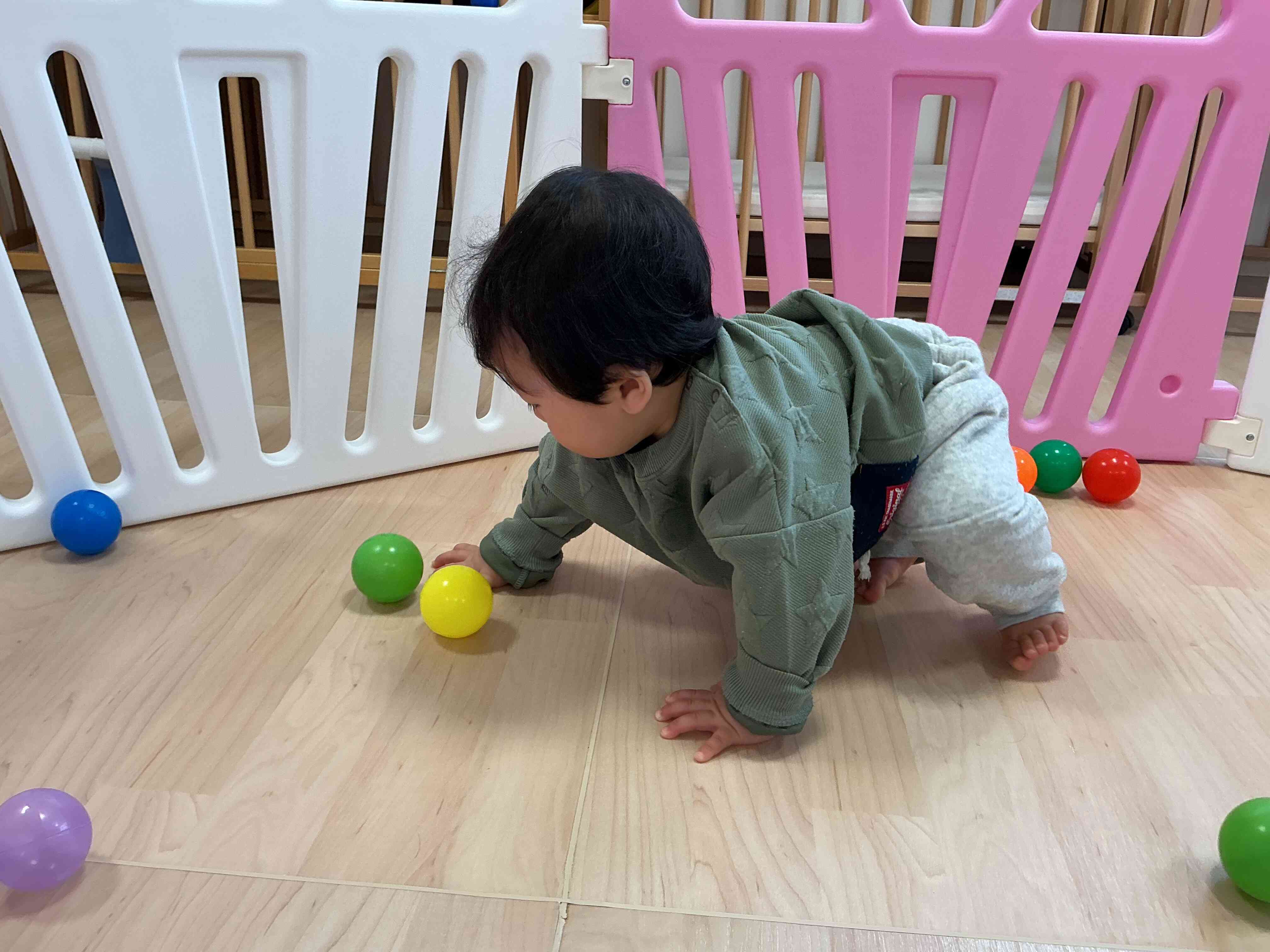 集中して遊んでいます♪