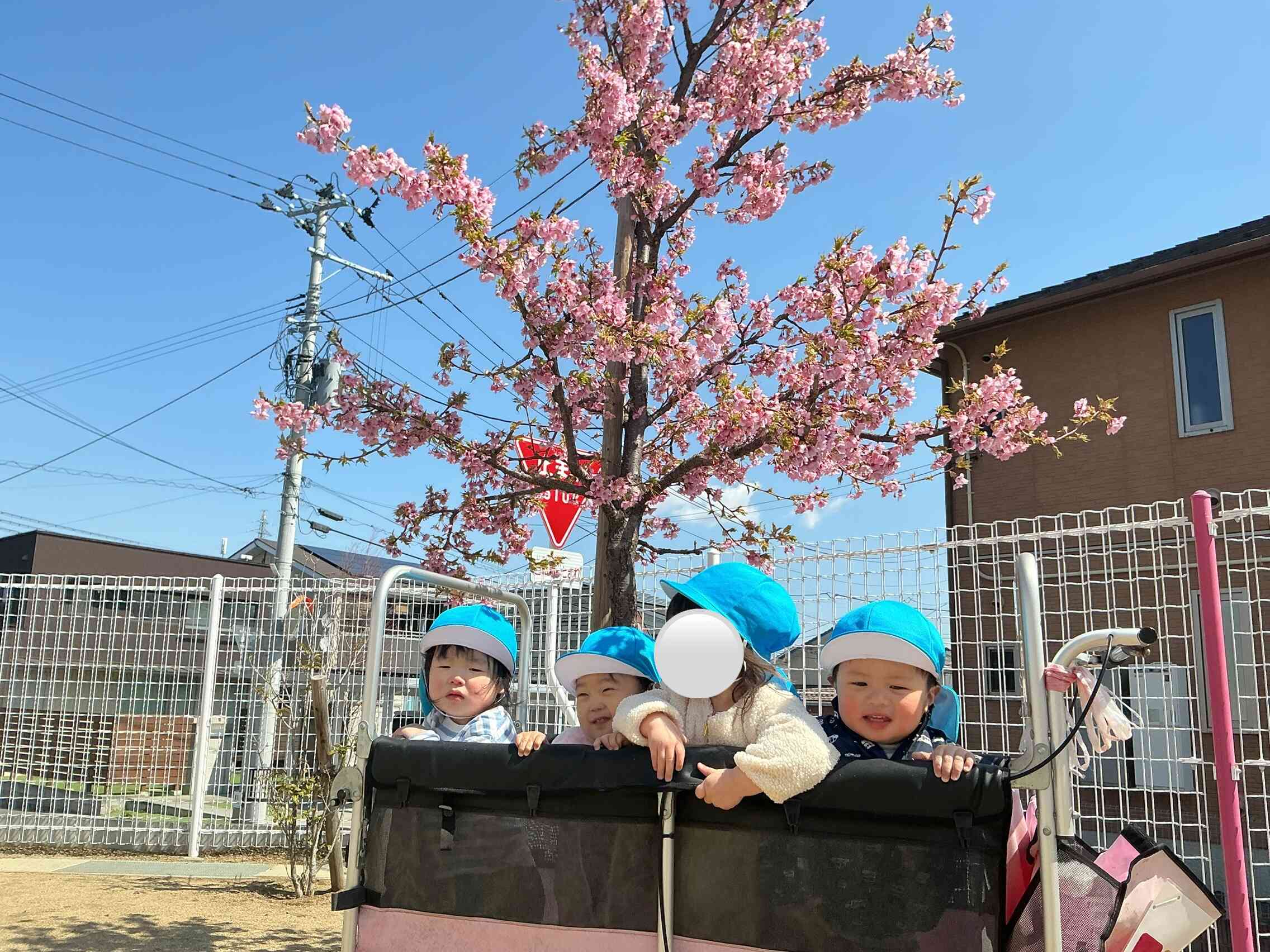 桜の下でハイチーズ⭐︎