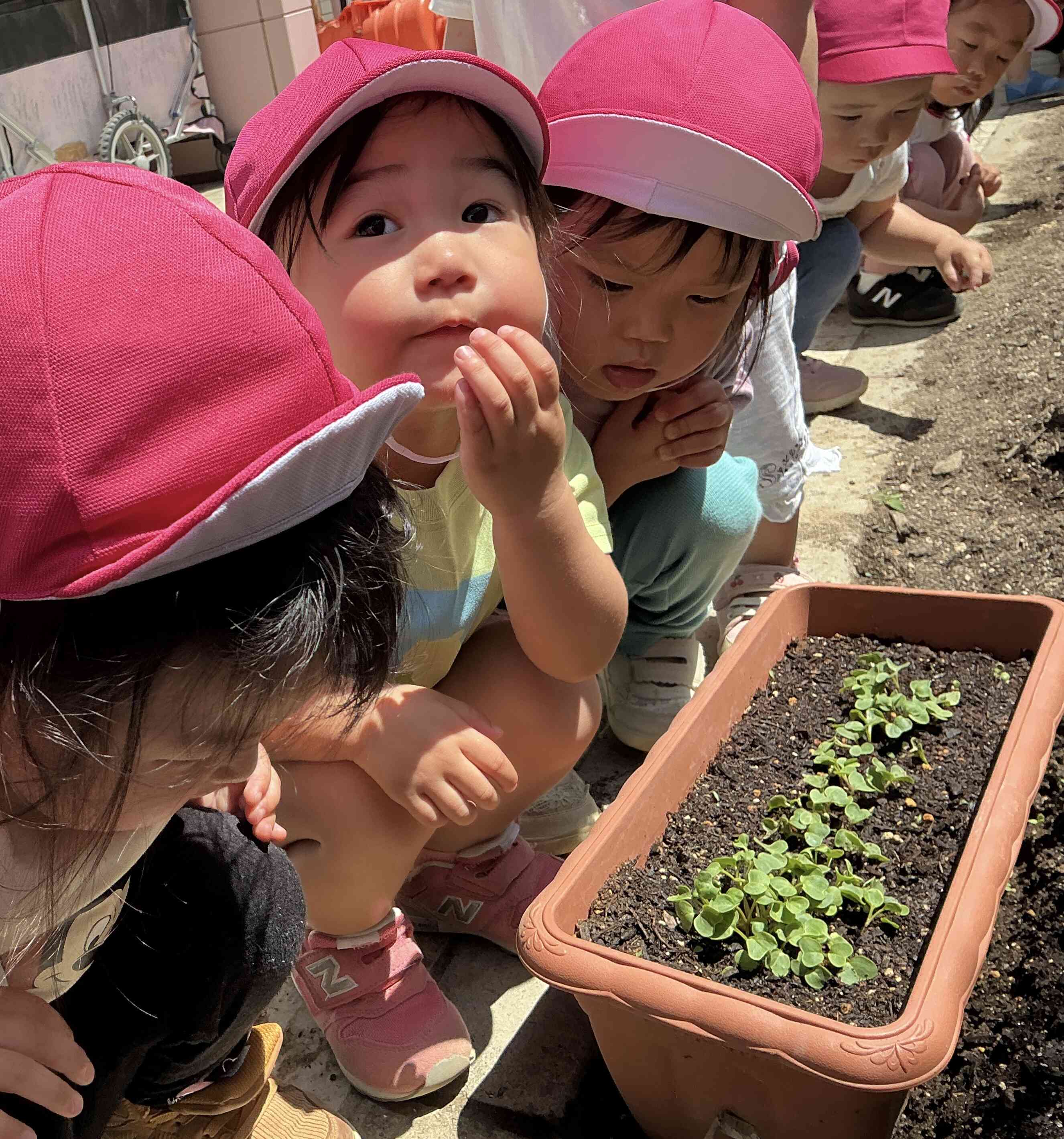うさぎ組（2歳児）
