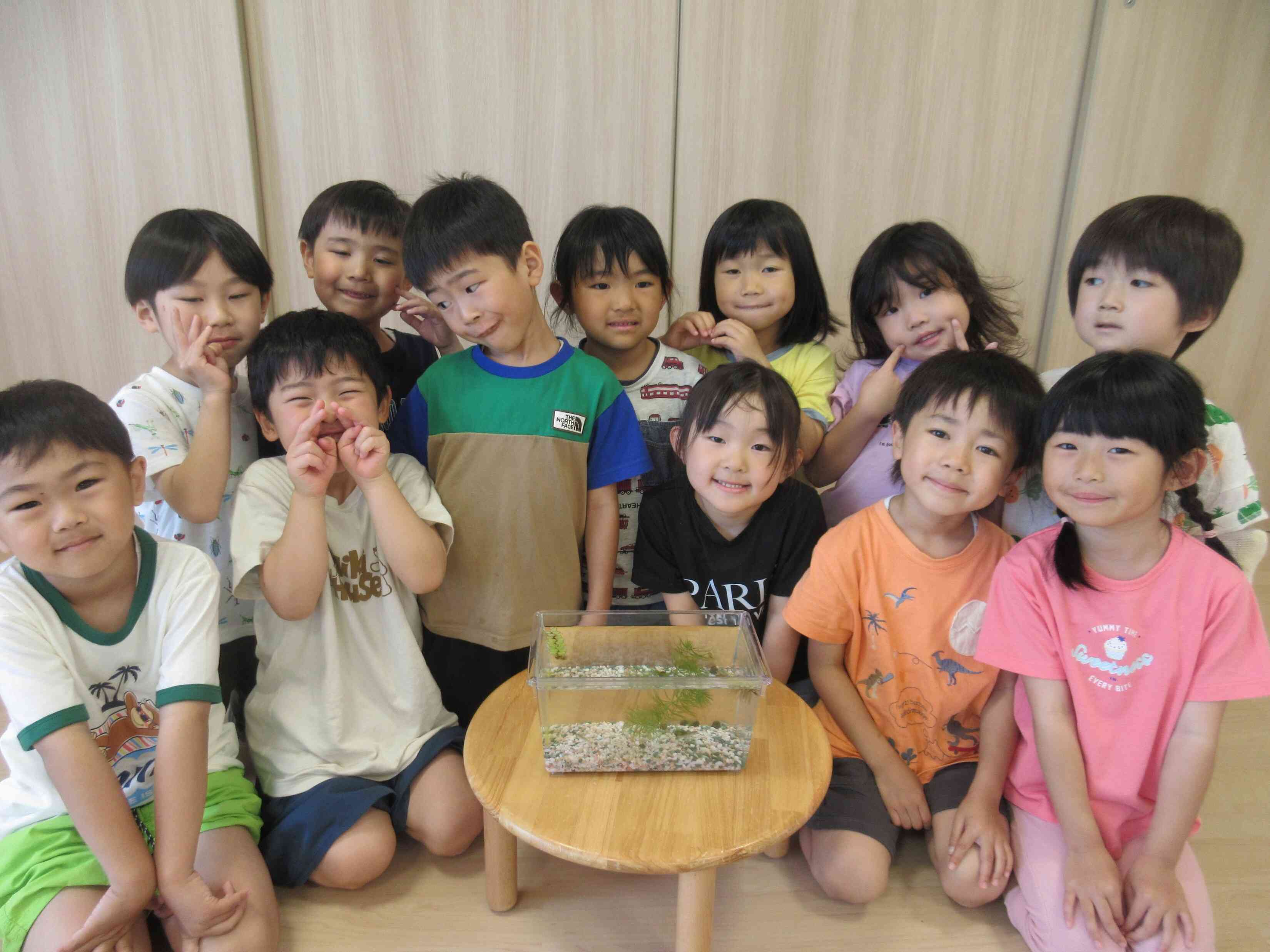 きりん組にメダカとメダカの卵が来たよ！