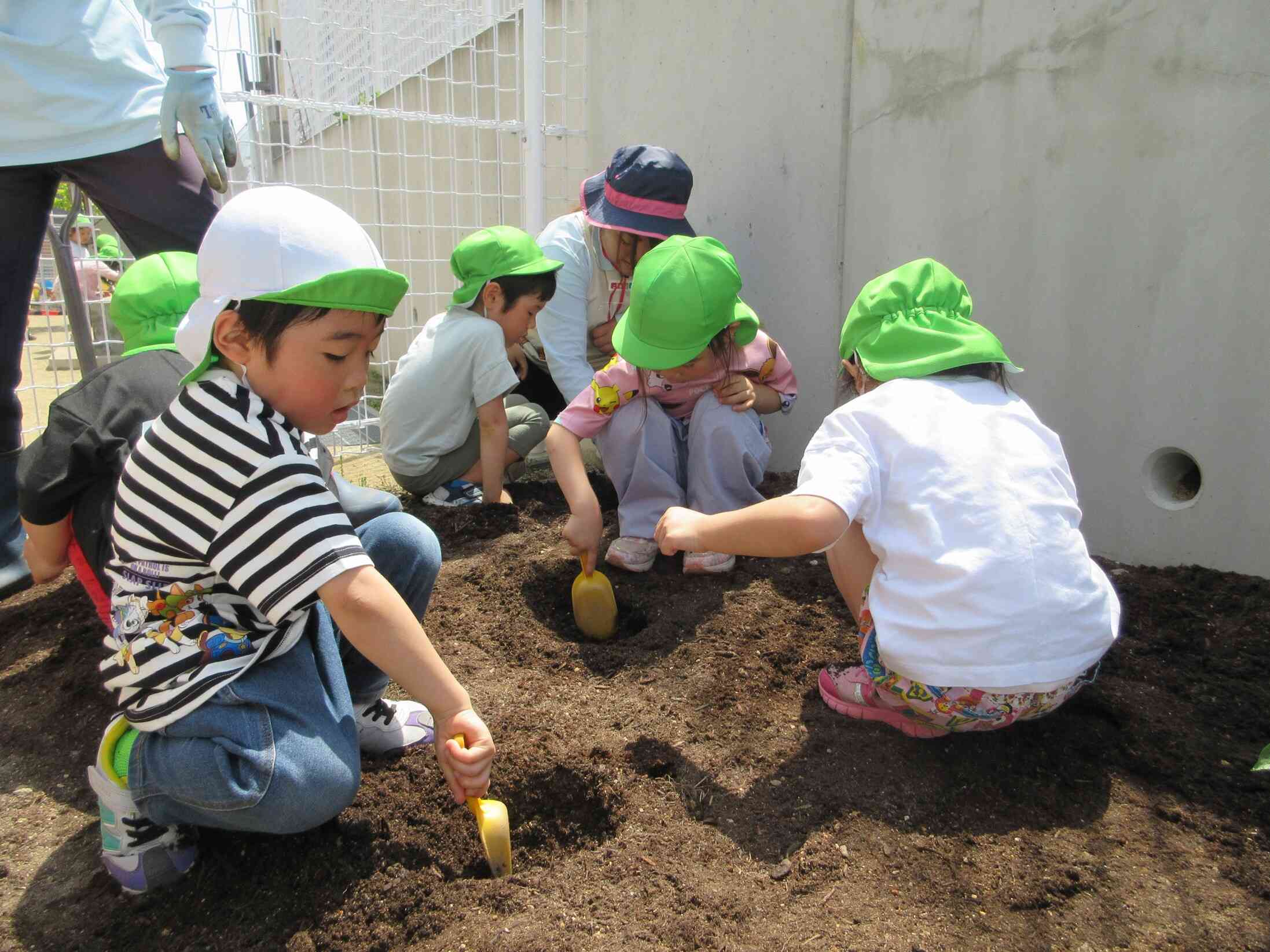 土を掘って茄子を植えよう！