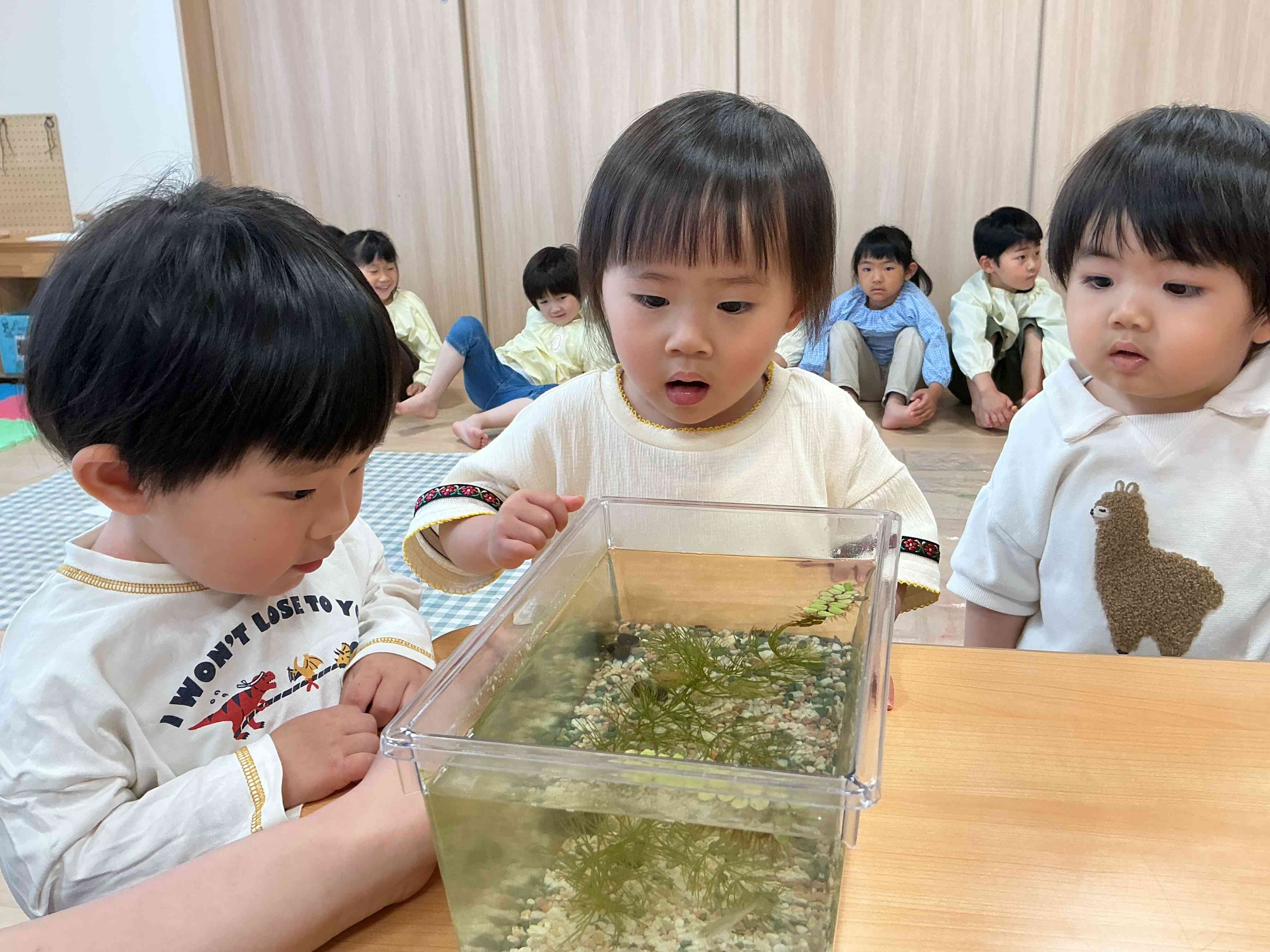 〜あひる組（１歳児）の様子〜