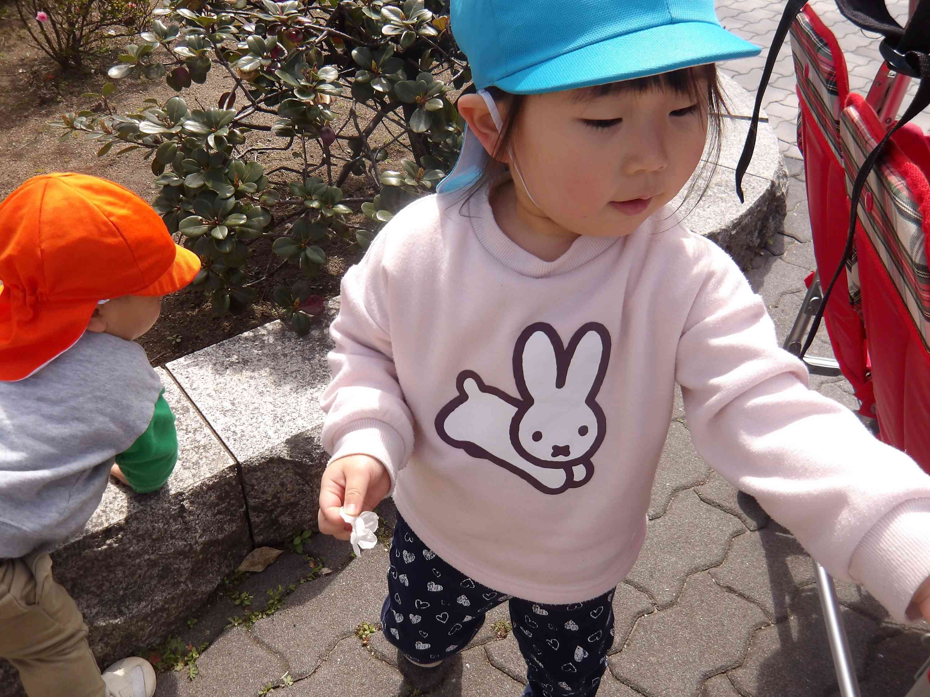 桜が咲いてるよ♪｜ニチイキッズニッセイみらい淀屋橋保育園｜ニチイキッズ