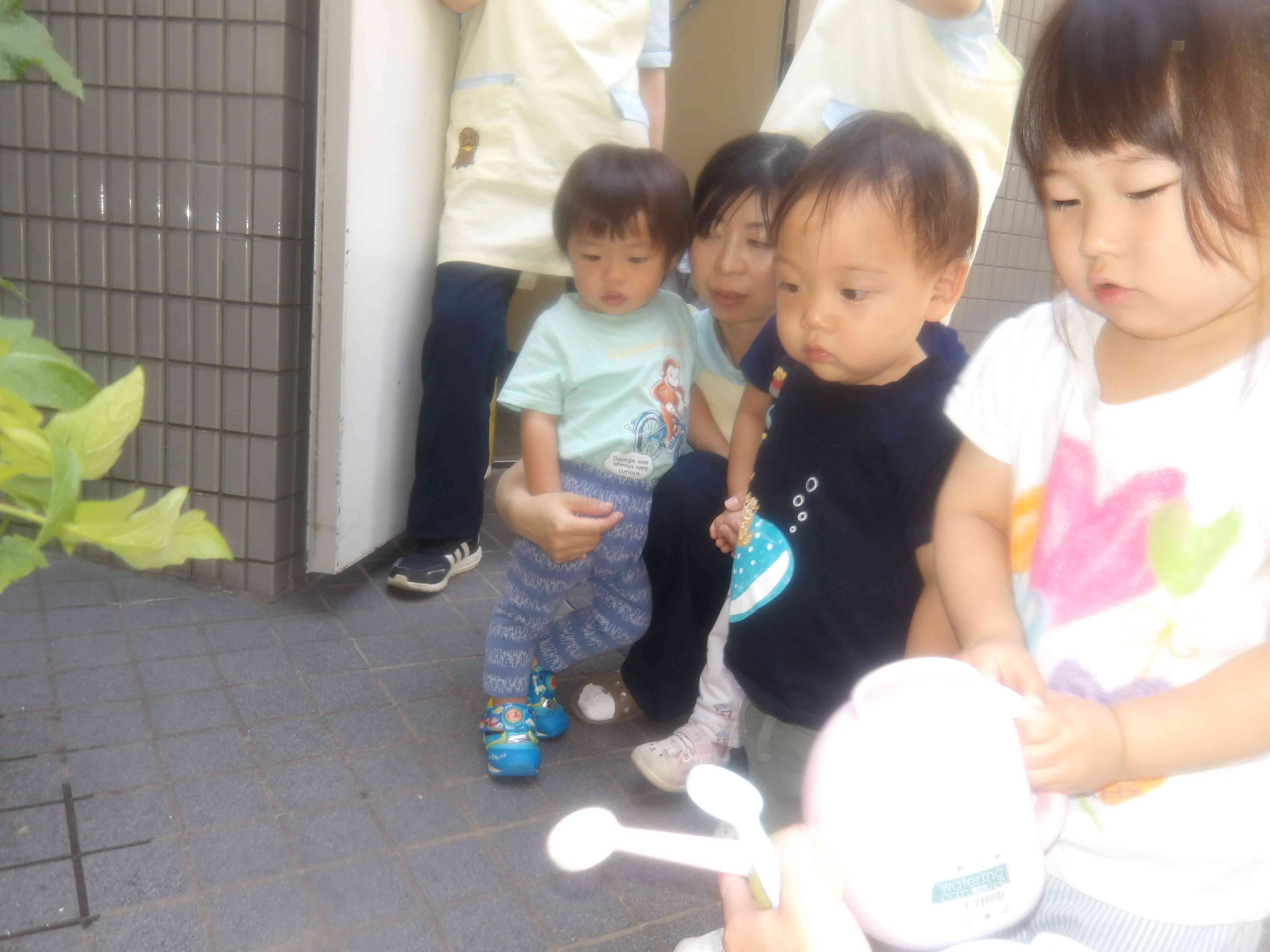 野菜さん、大きくなってね