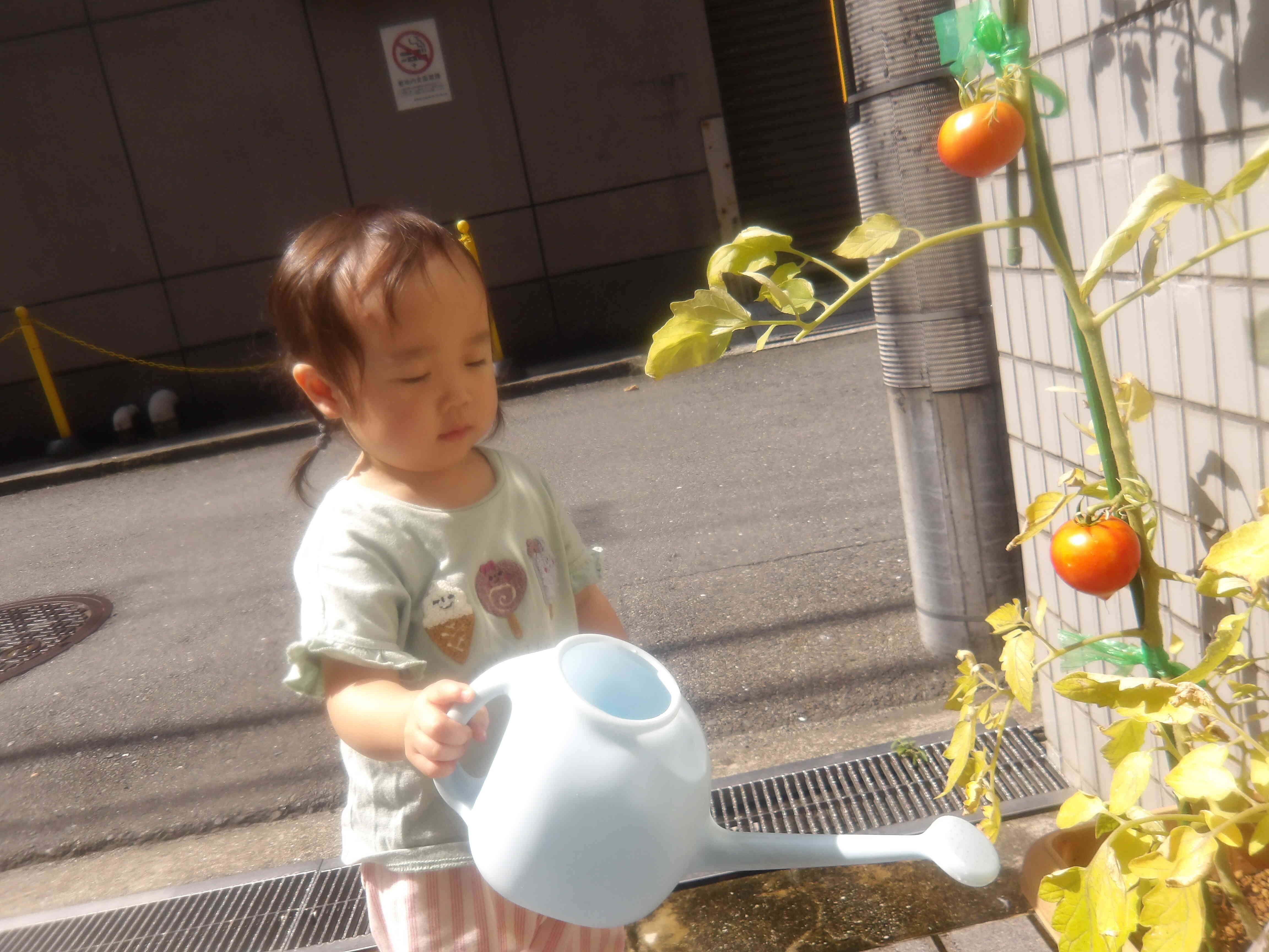 おおきくなあれ☆