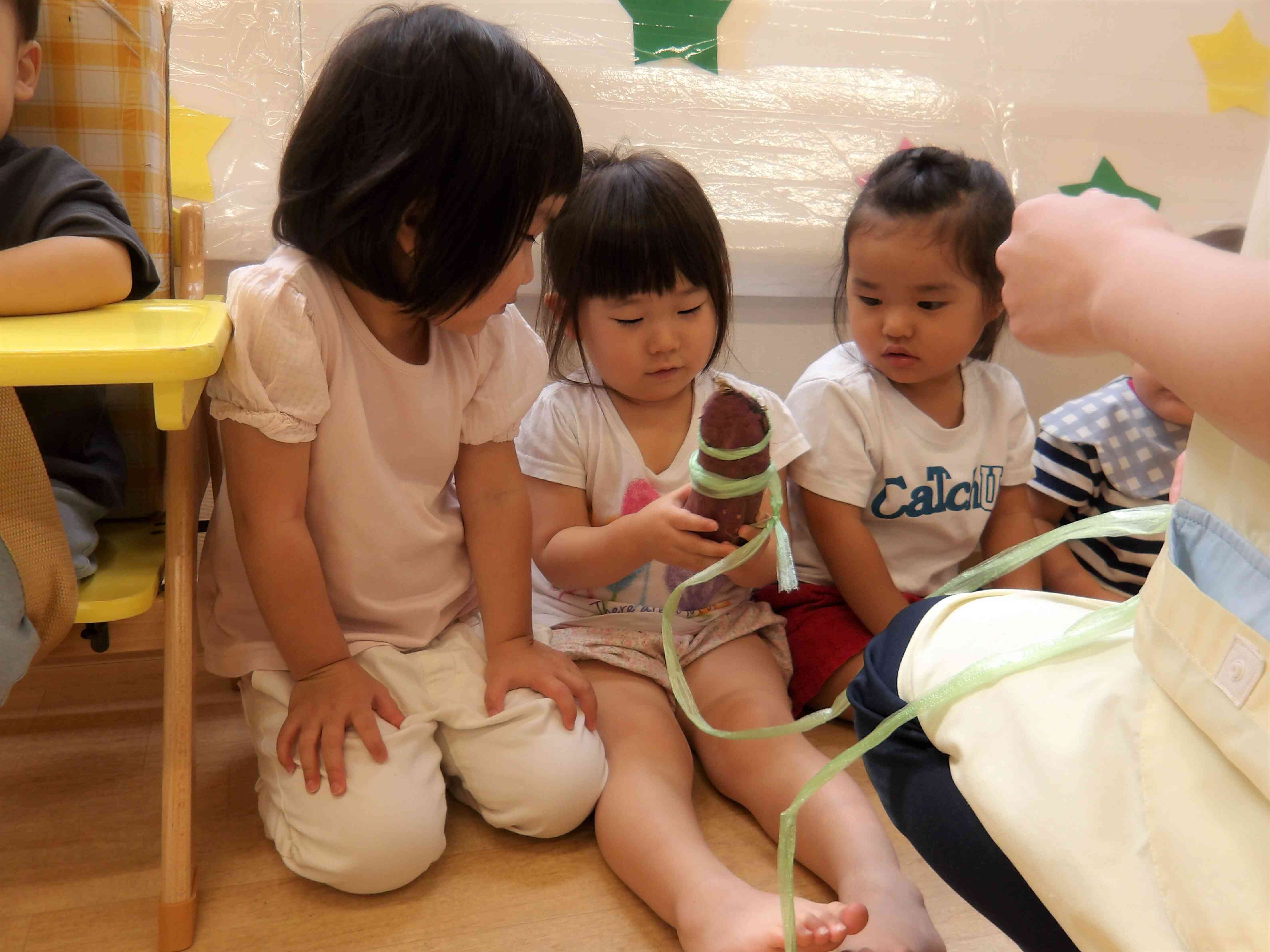 本物のさつまいもを観察したよ