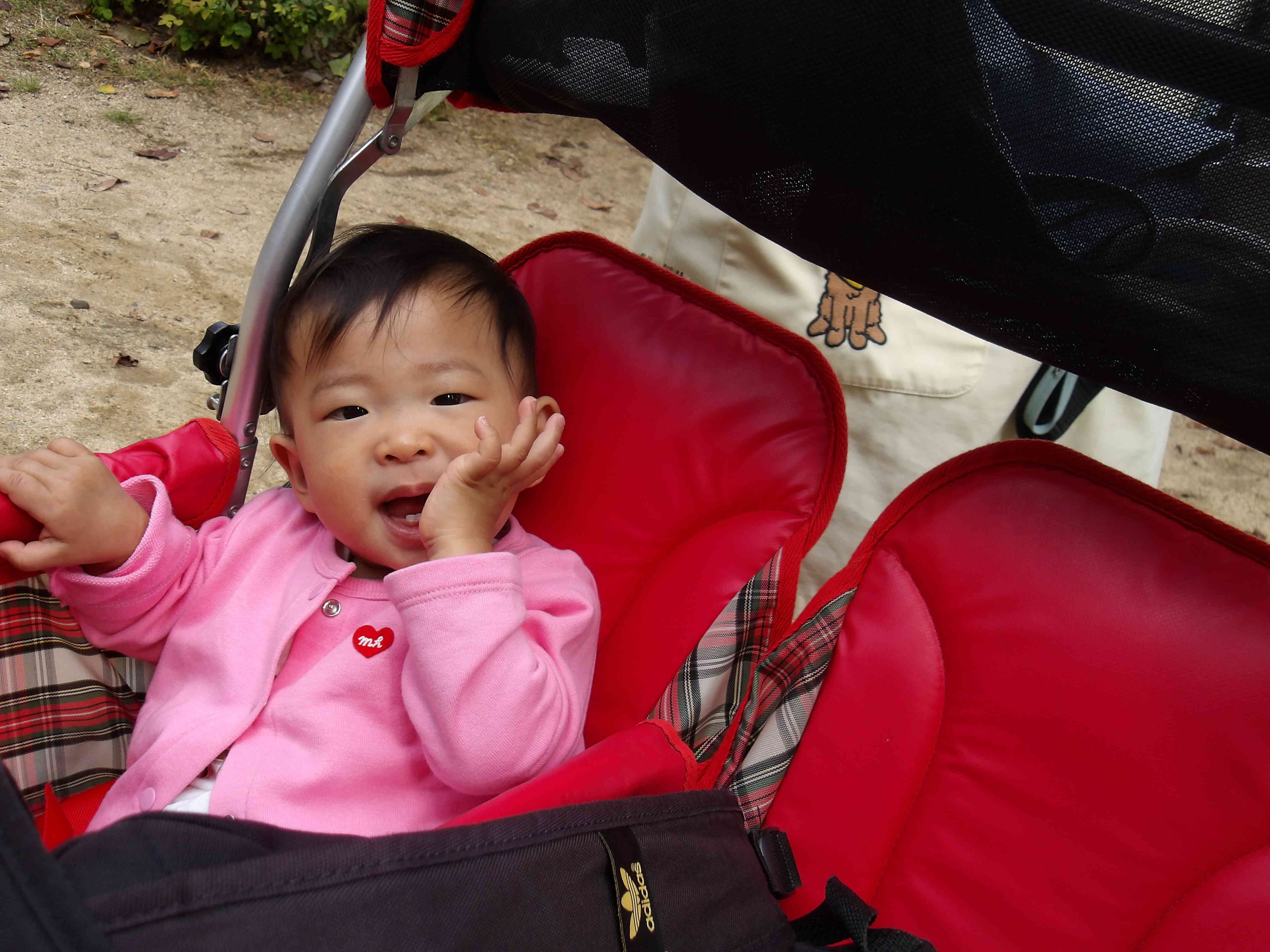 お散歩いいでしょ