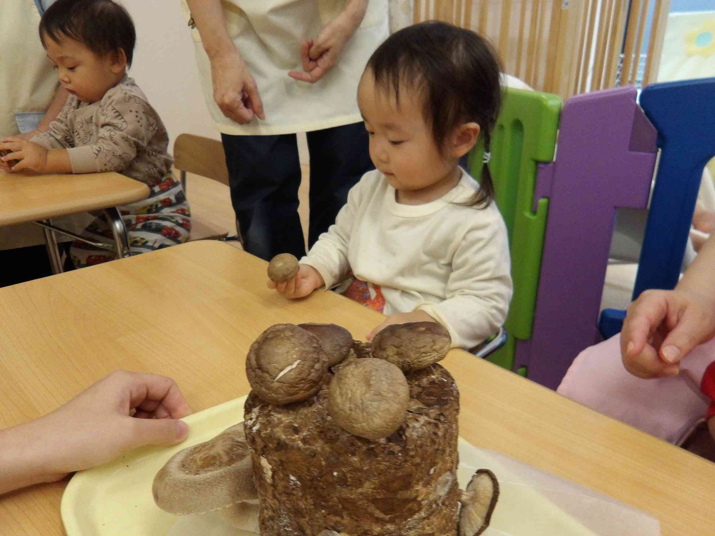 きのこを観察中♡