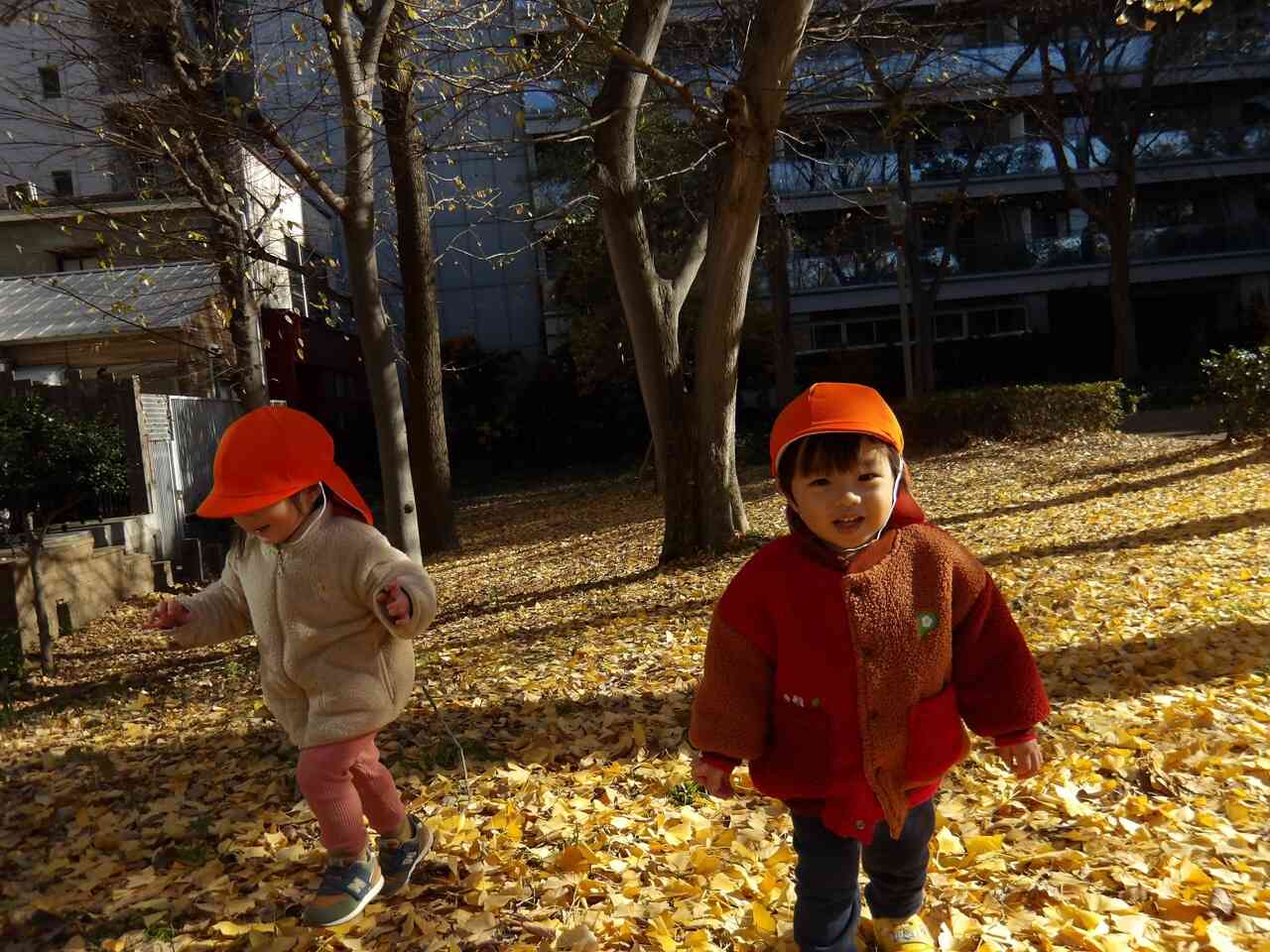 落ち葉拾いをしたよ⭐︎
