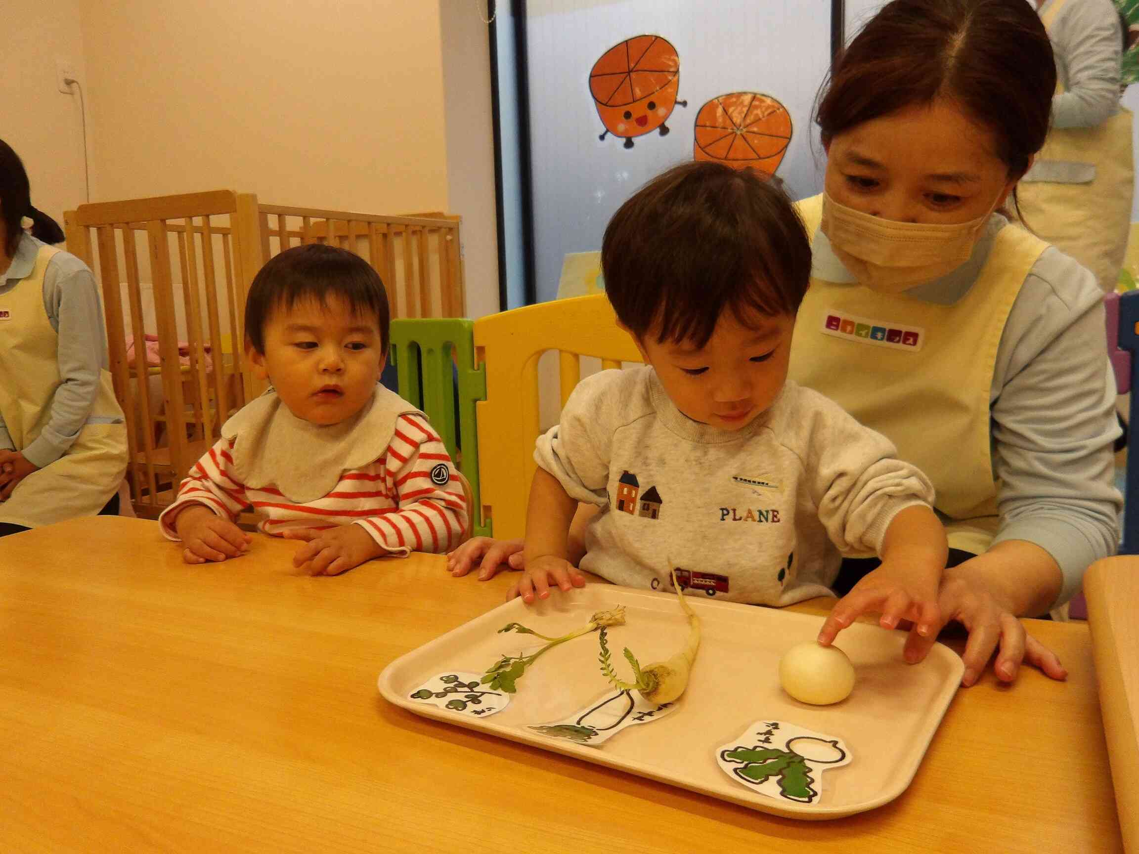 春の七草を見てみよう