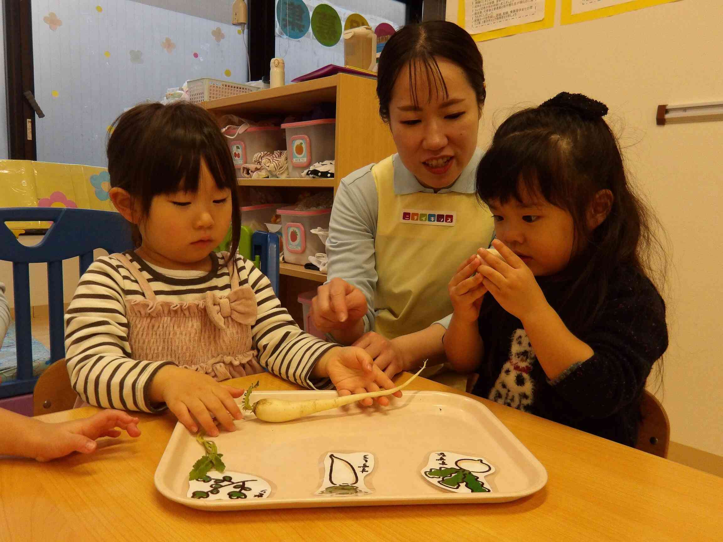 七草を触ってみよう