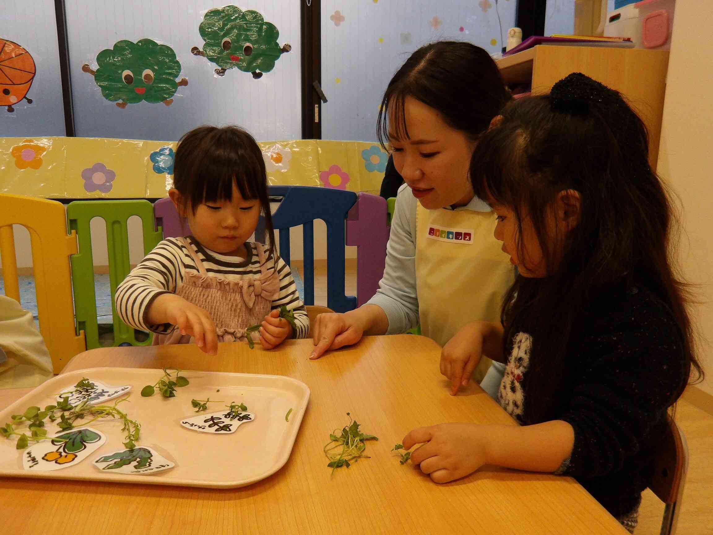 食育☆春の七草☆