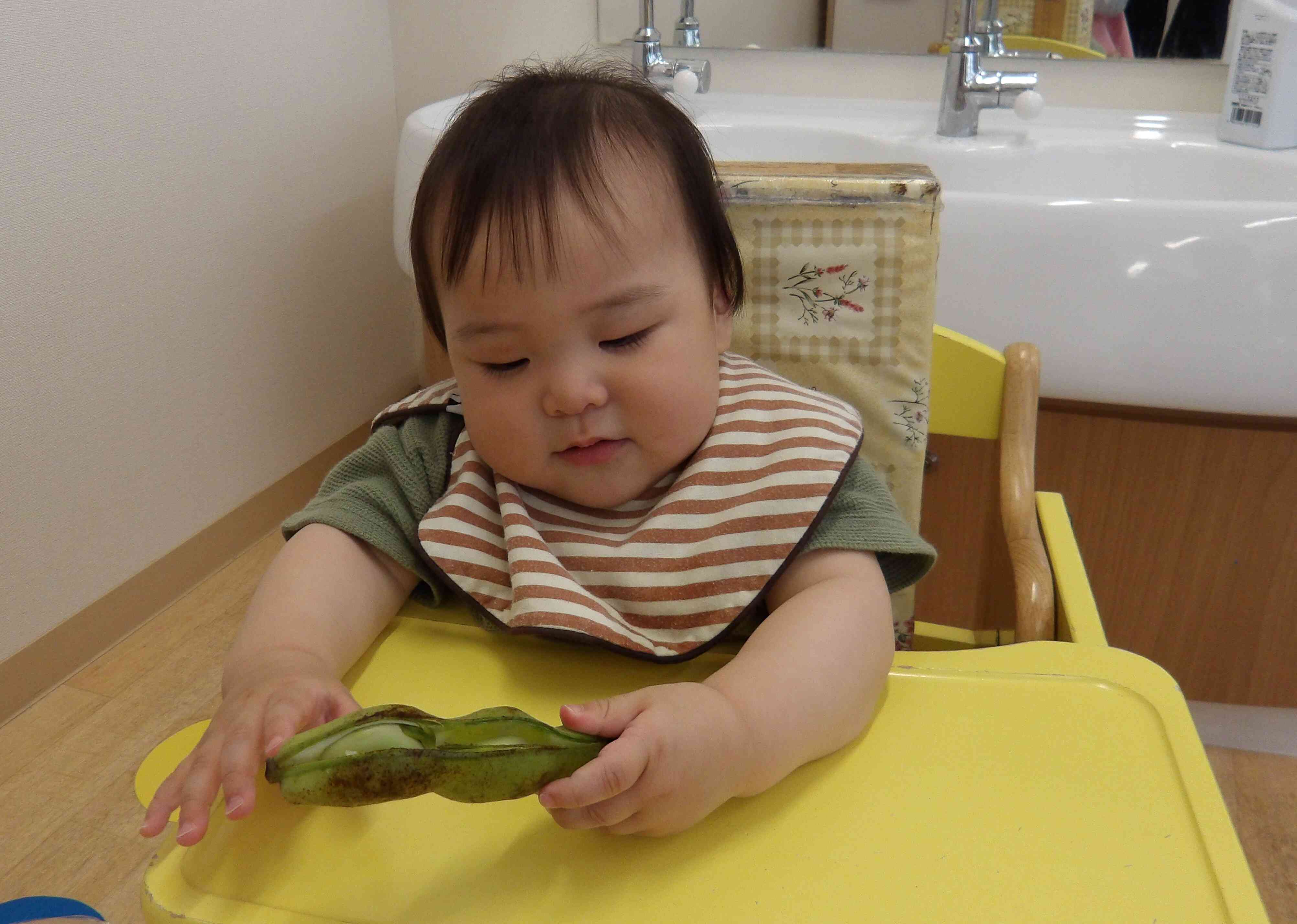 5月の食育～そら豆の皮むき～