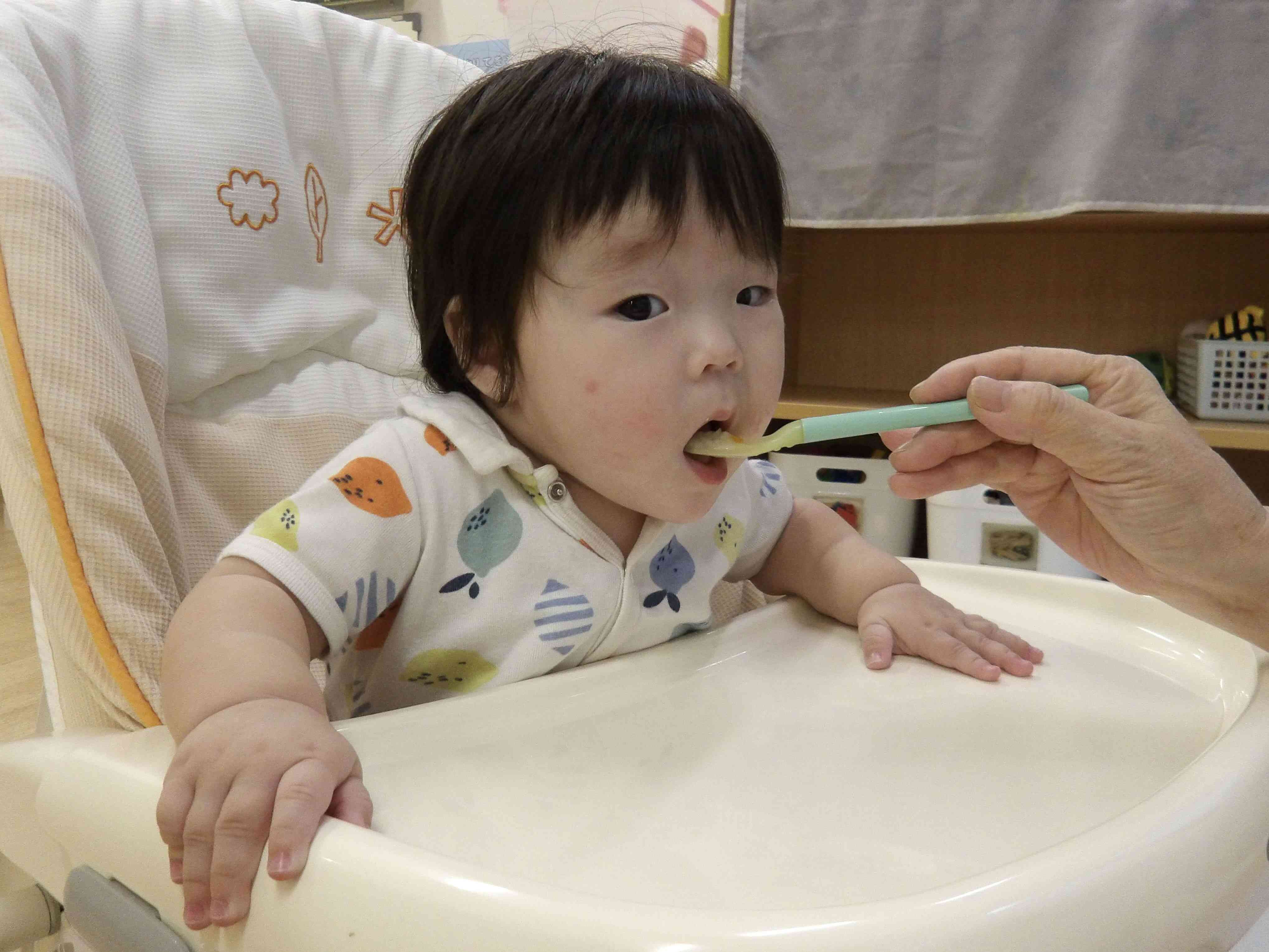 中期食がスタートしたよ!