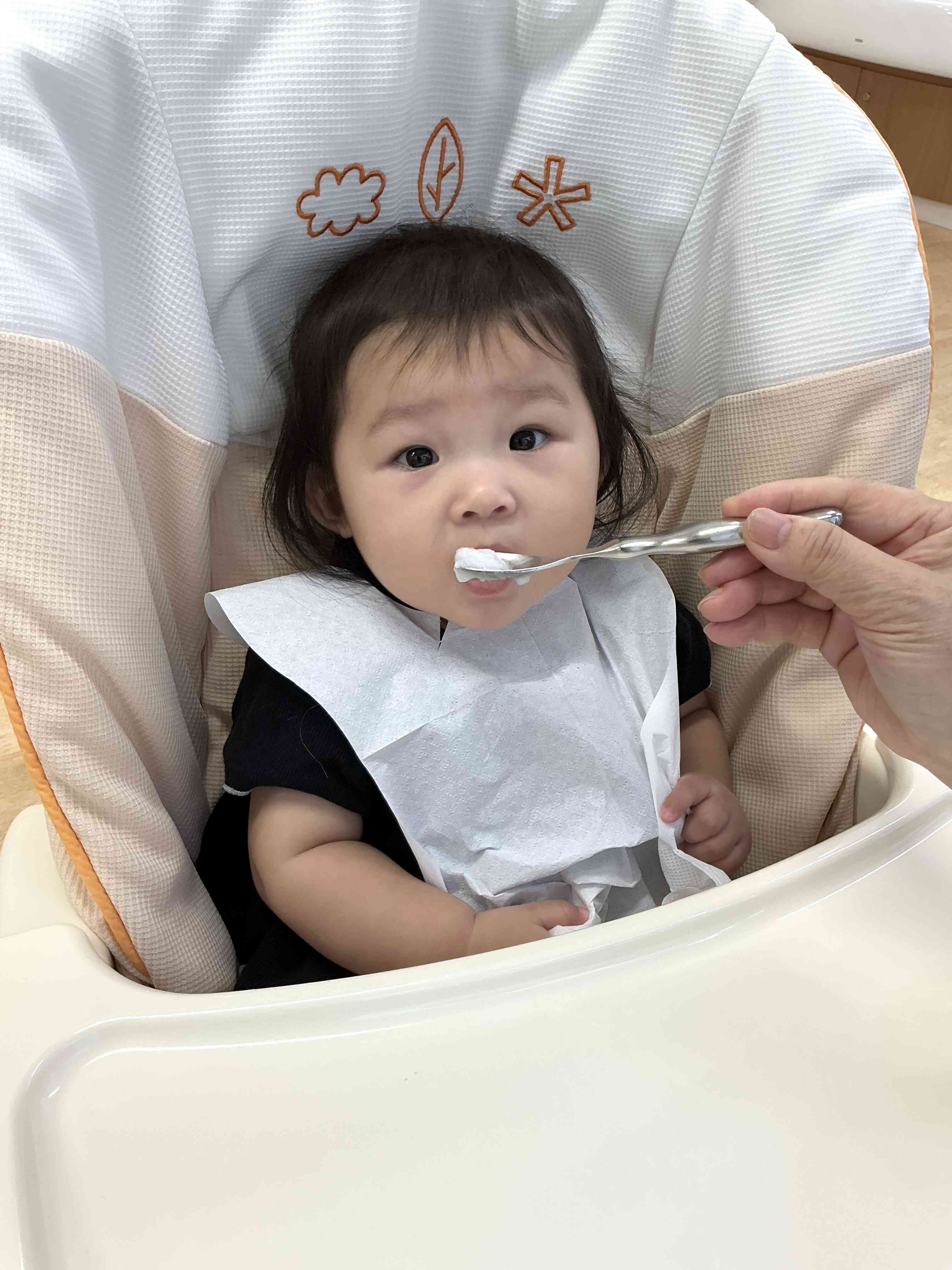 中期食がスタートしました！