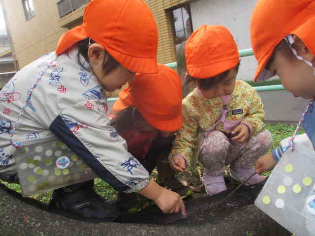 ２歳児クラスのお散歩です