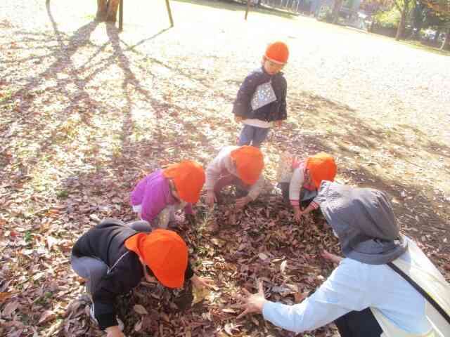 ２歳児クラスお散歩風景