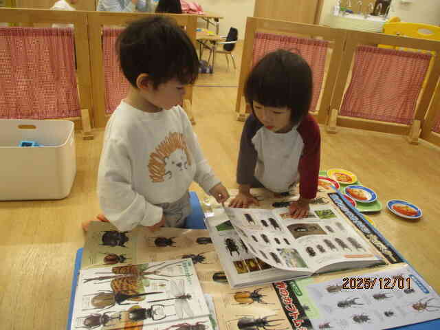 図鑑で研究！！