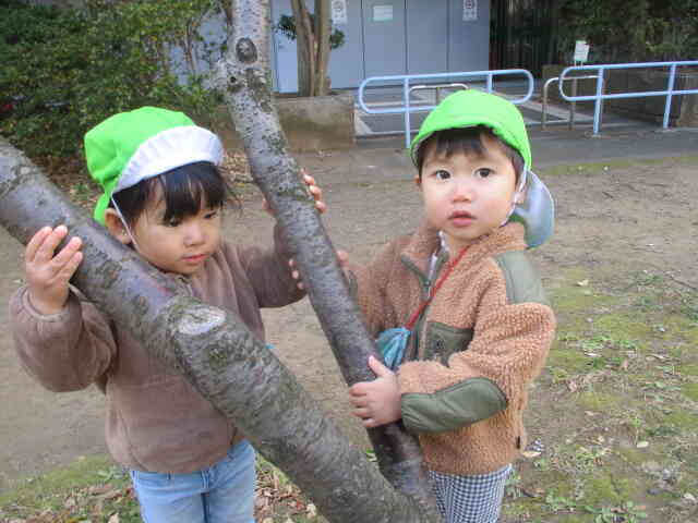 0，１歳児クラスお散歩風景