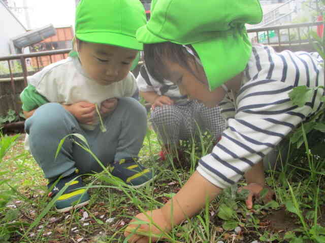 ２歳児クラスさん、探検です
