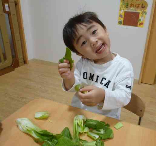 チンゲン菜と僕