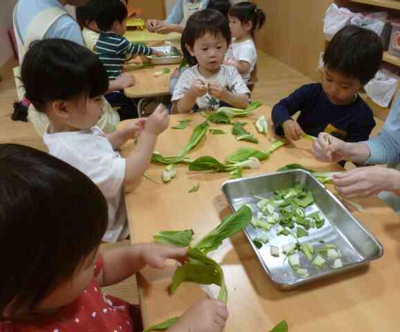野菜のお手伝い