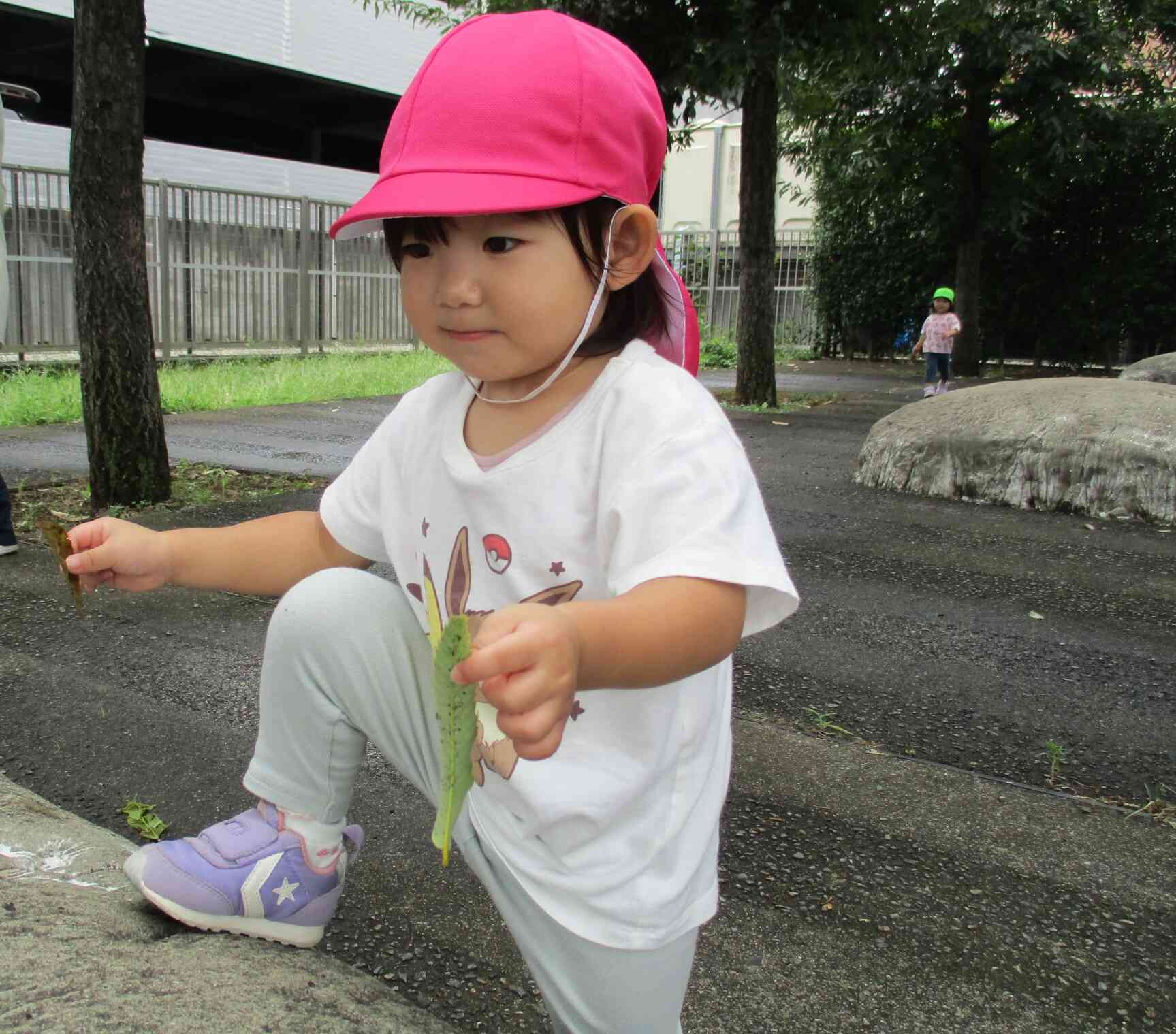 大きな石に登れるかな?