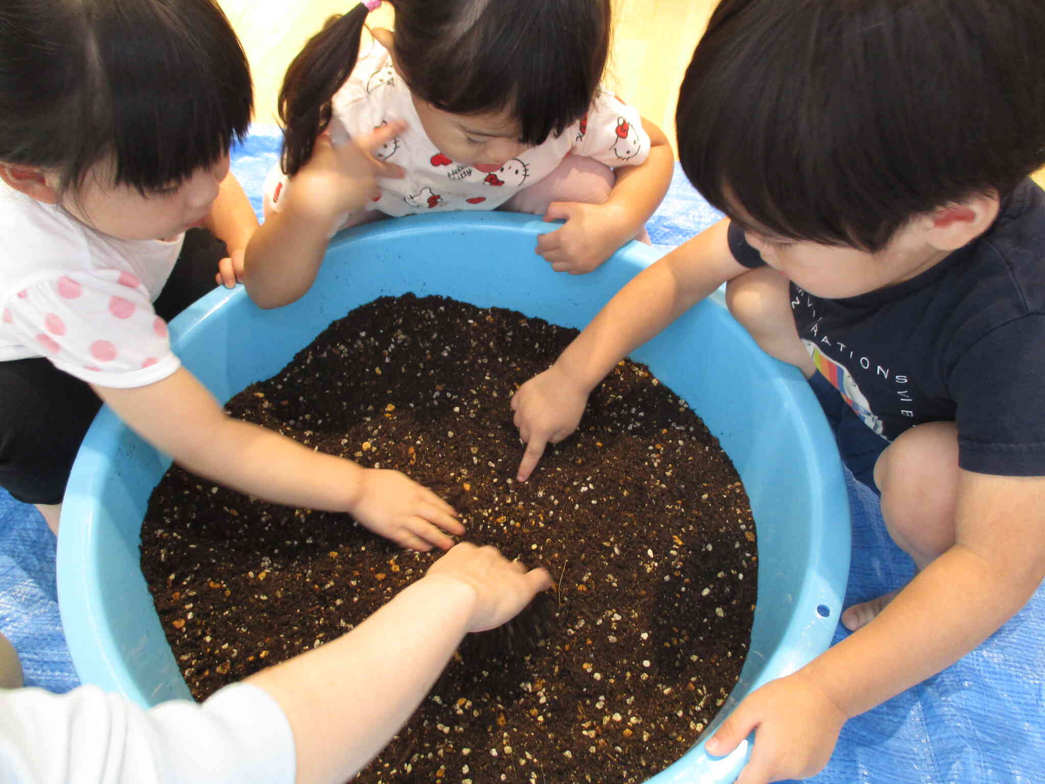 おいもはどこにあるかな？