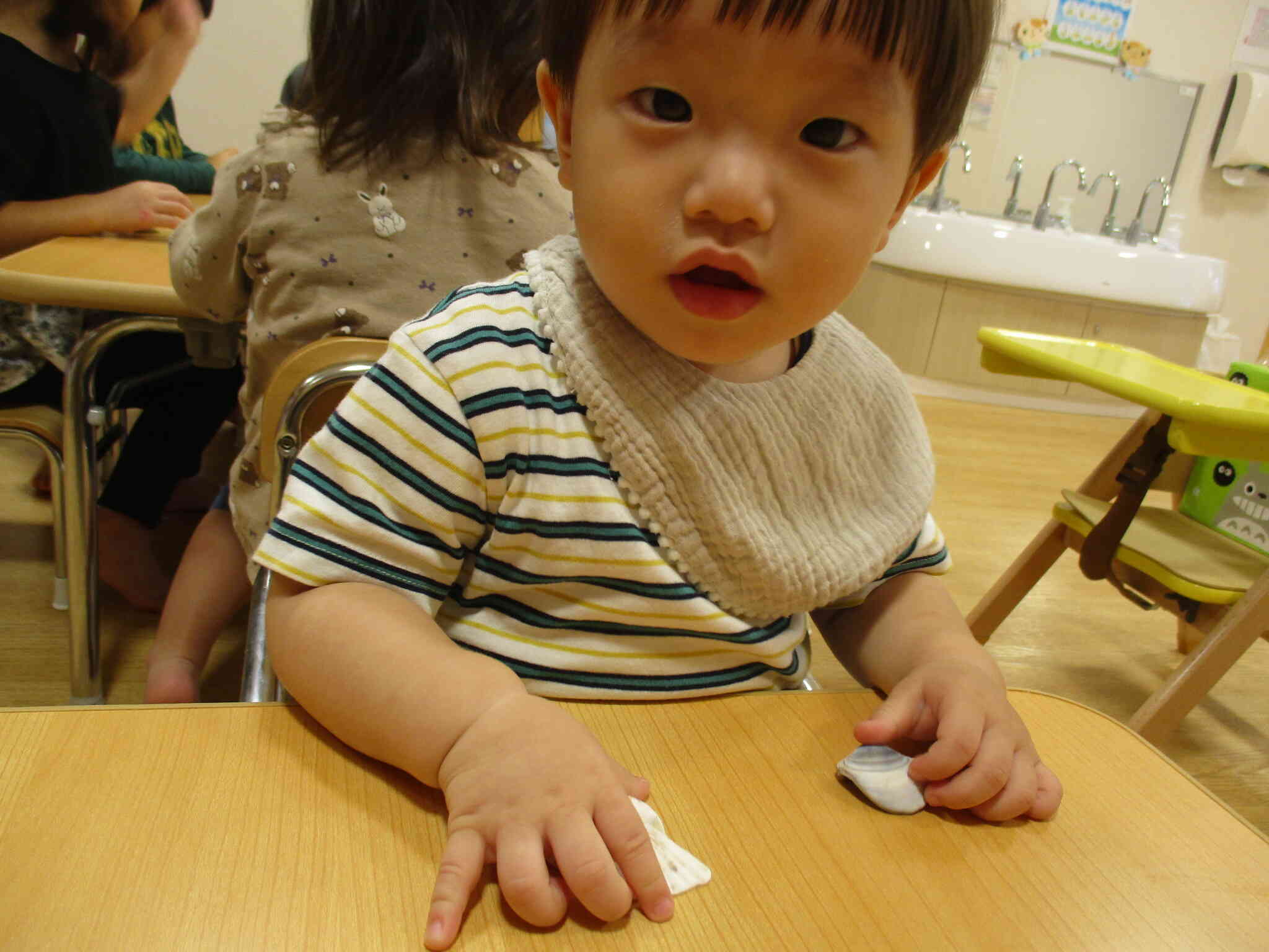 貝殻ってなんだろう、、