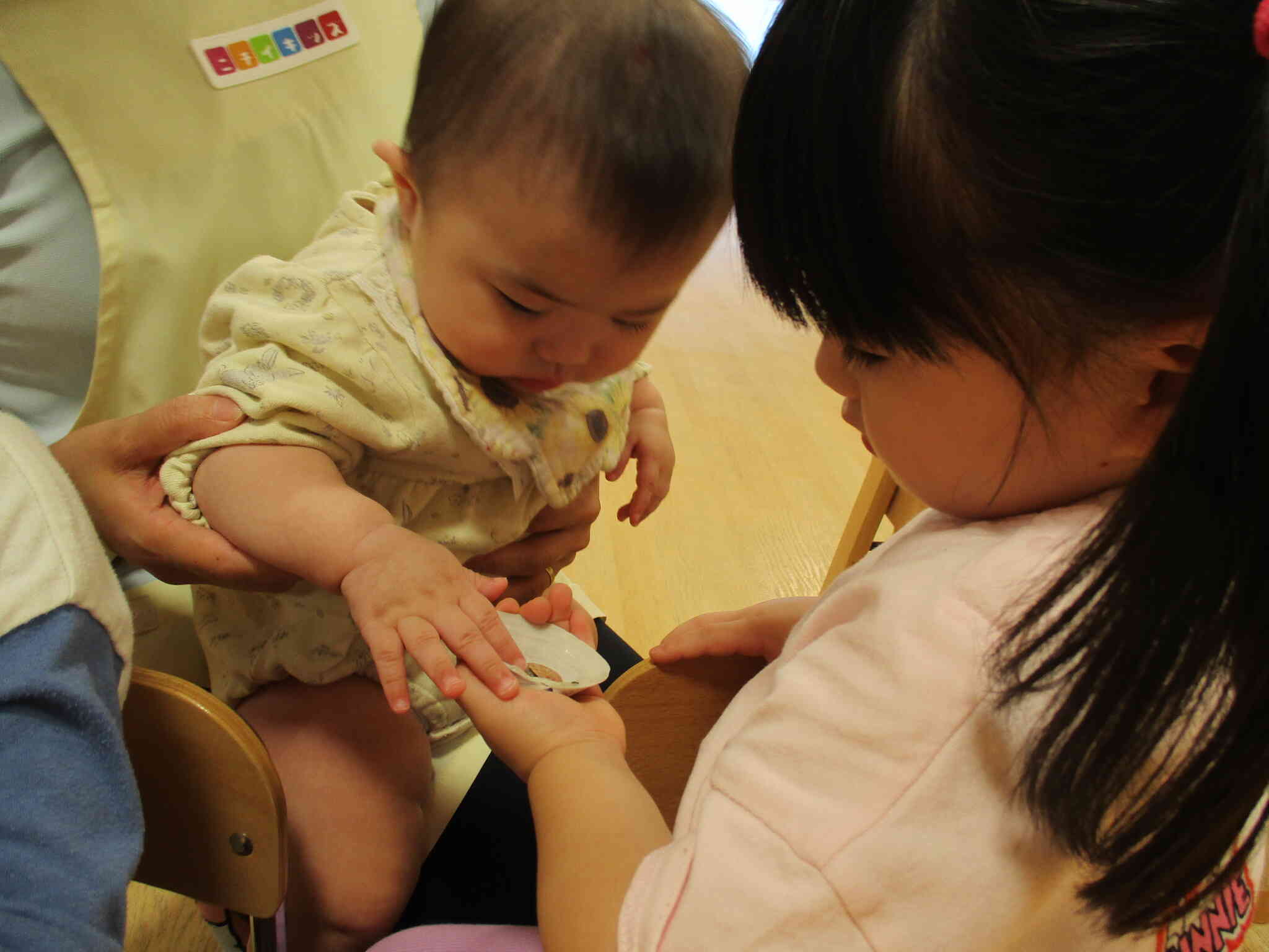 貝殻を触ったよ♫