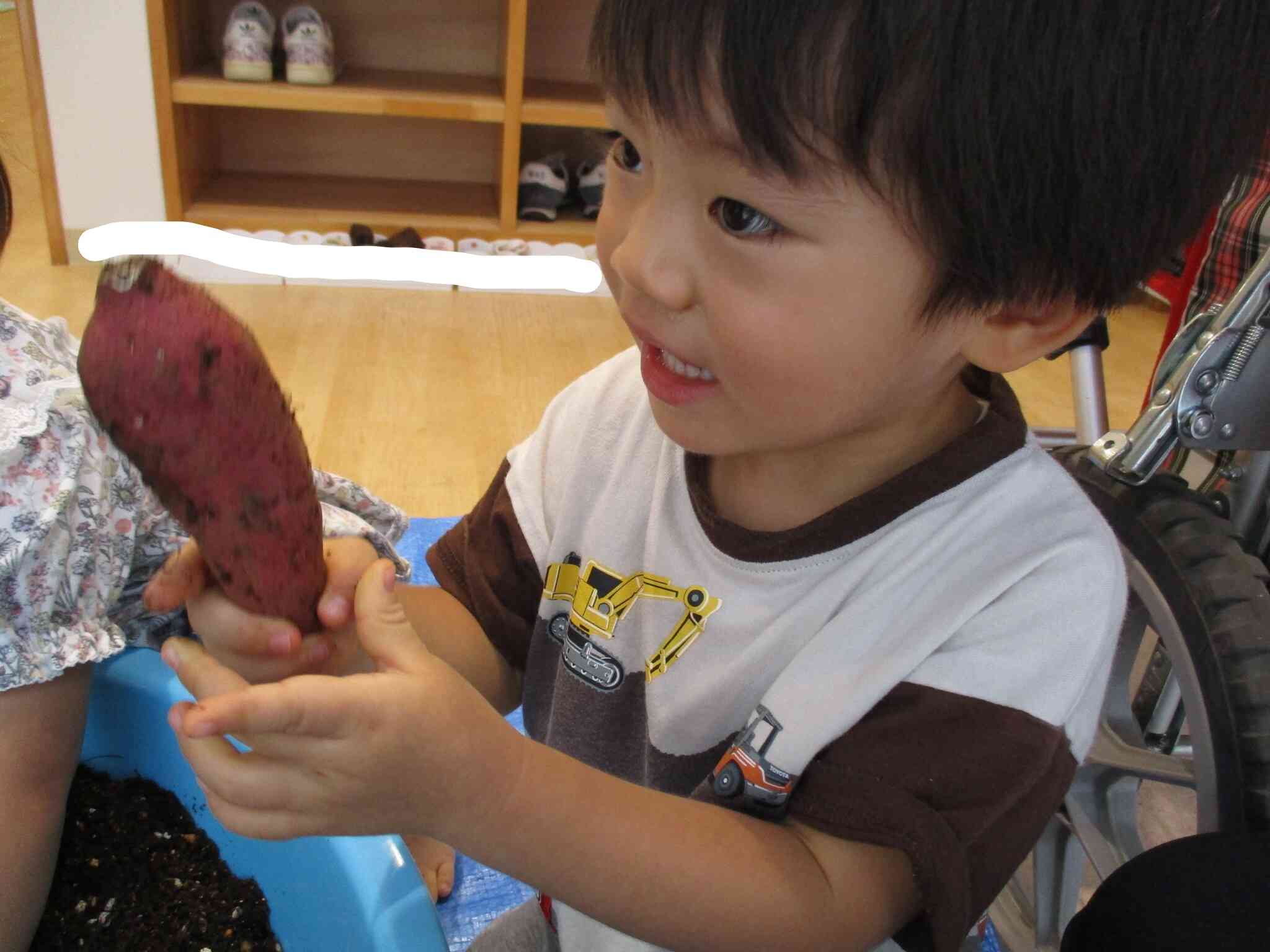 食育～さつまいもほり