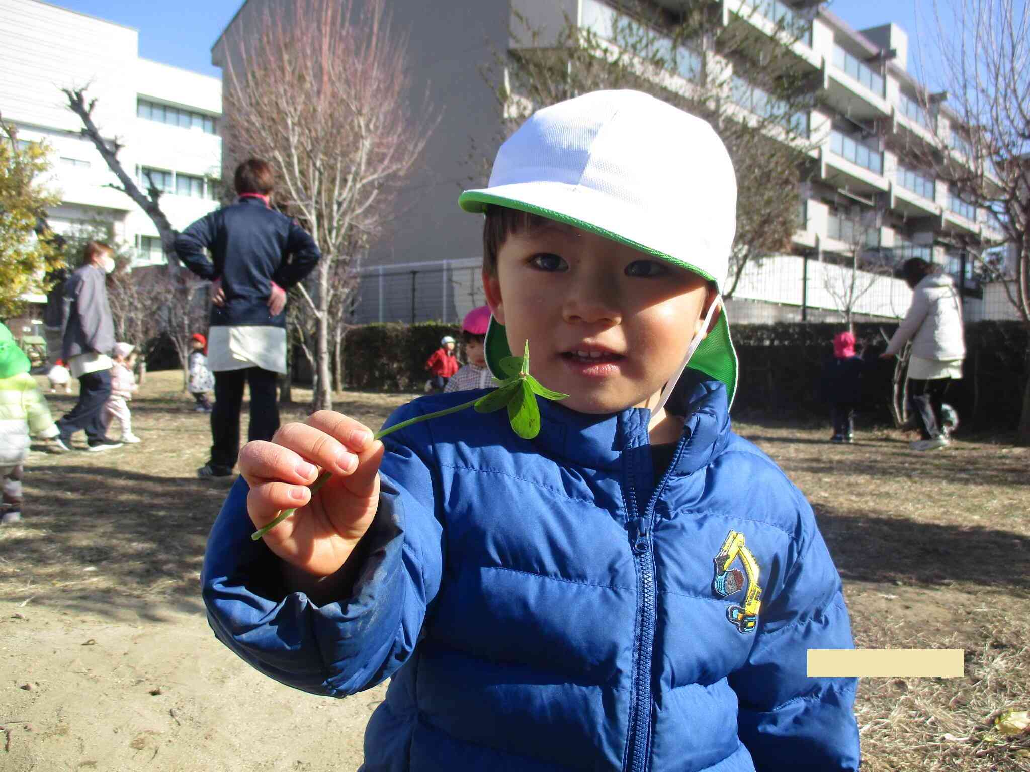 みてみて！四葉のクローバー見つけたよ！