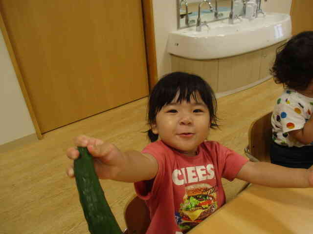 野菜の形は？？