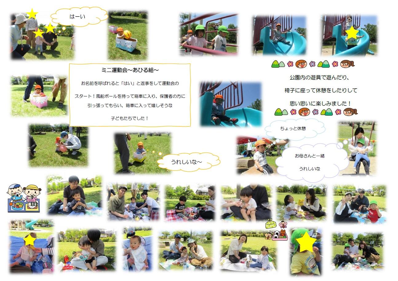 みんなで食べるお弁当は美味しいね~
