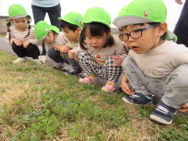 虫さんいないかな～と探している子どもたちでした