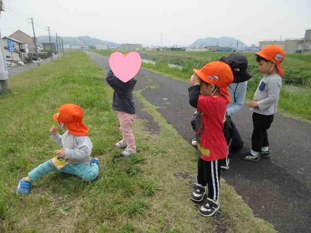 子どもたちの目線の先は・・・中学校！！いつもと違う景色で子どもたちも嬉しそうです