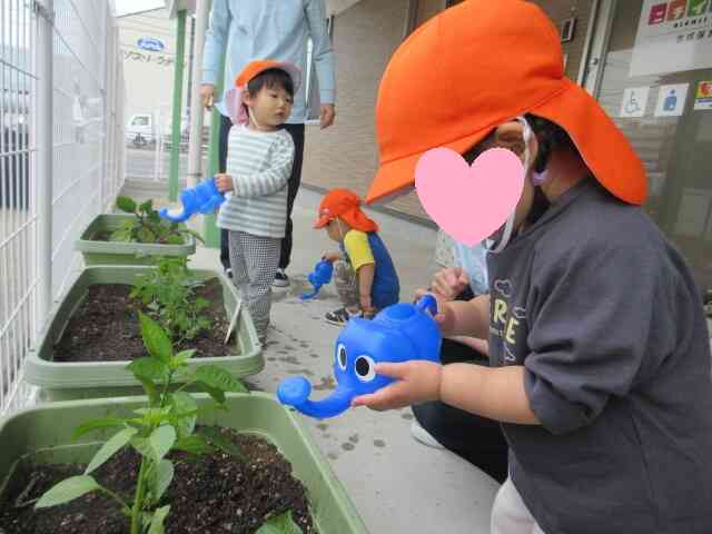 大きくな～れ！