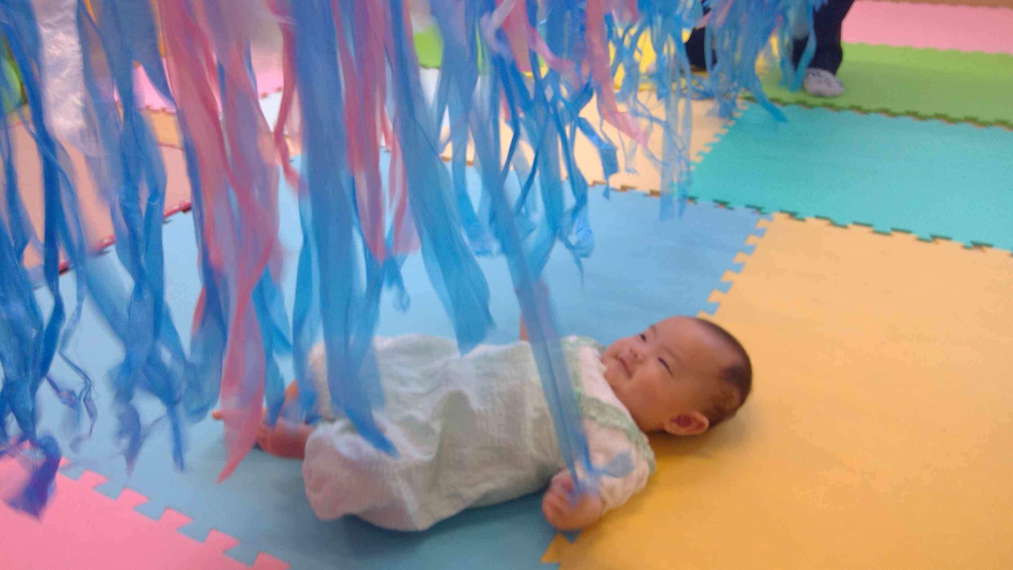 カーテンを引っ張ると、ガサガサといい音がするね。夢中で遊んでましたよ。