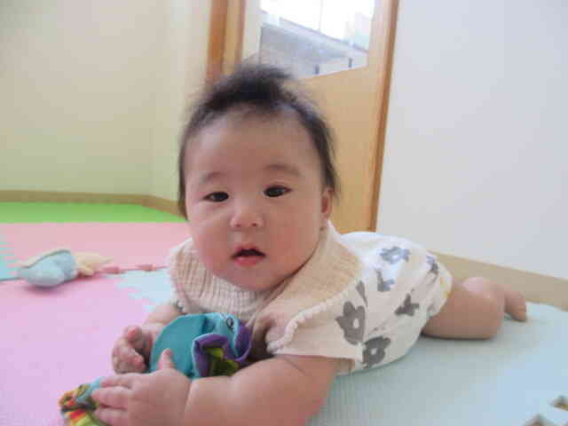 ひよこ組の新しいお友だち　Nちゃん