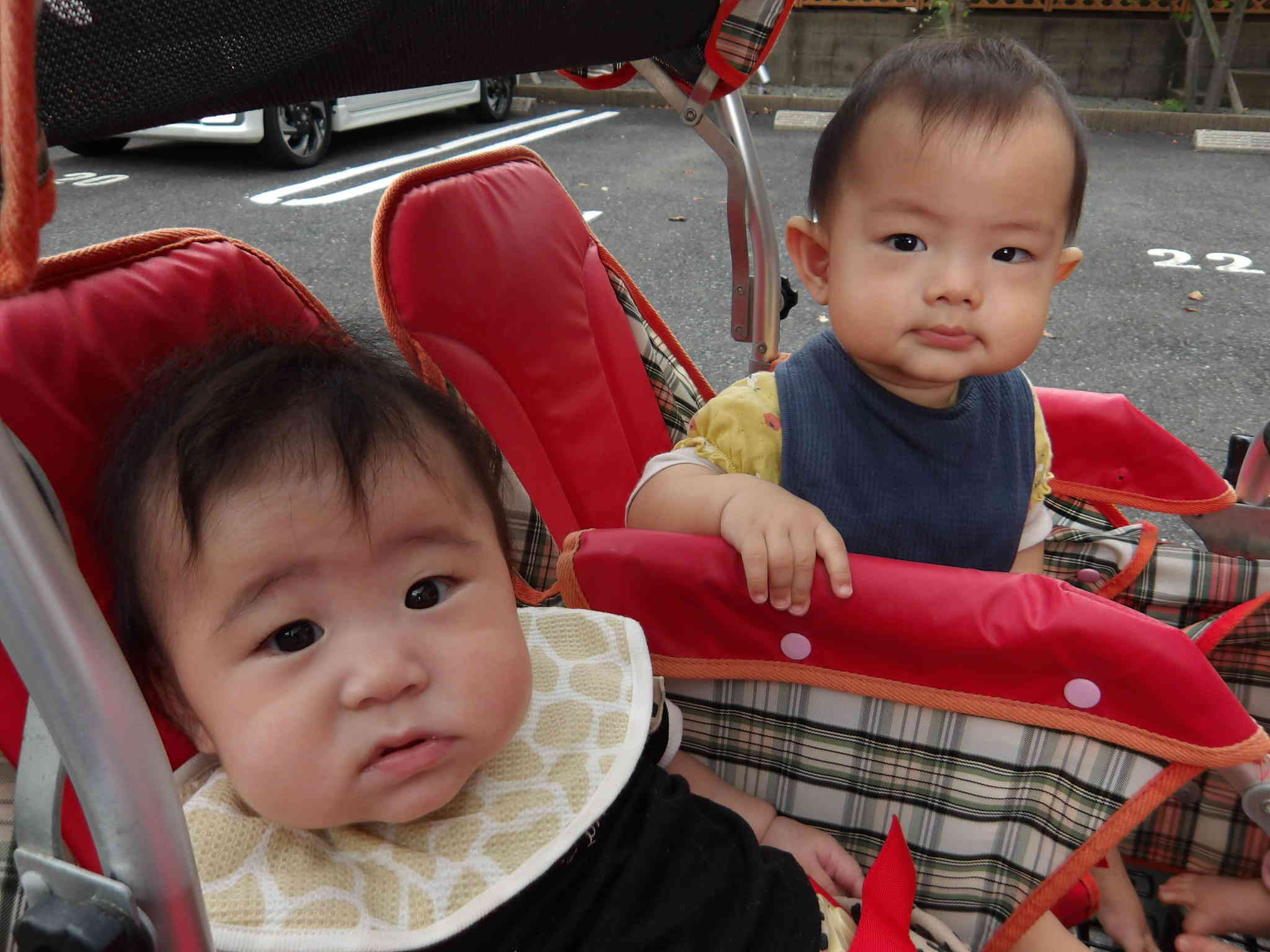 お散歩楽しいな♪(ひよこ組：０歳児)