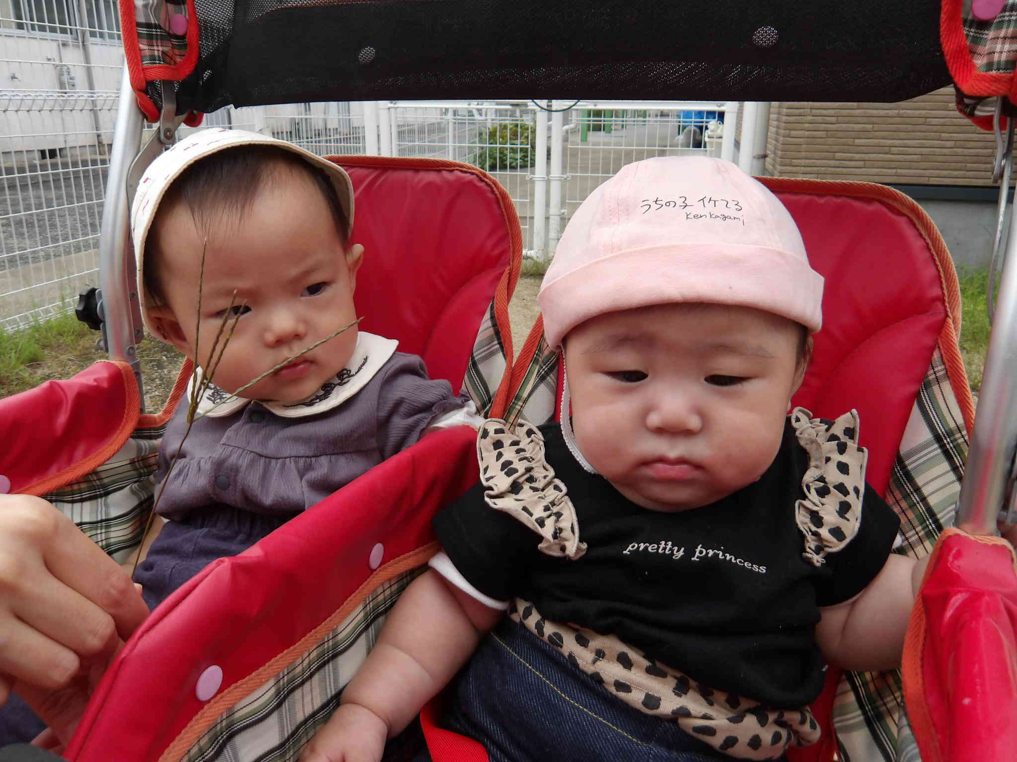 園庭にも出かけたよ