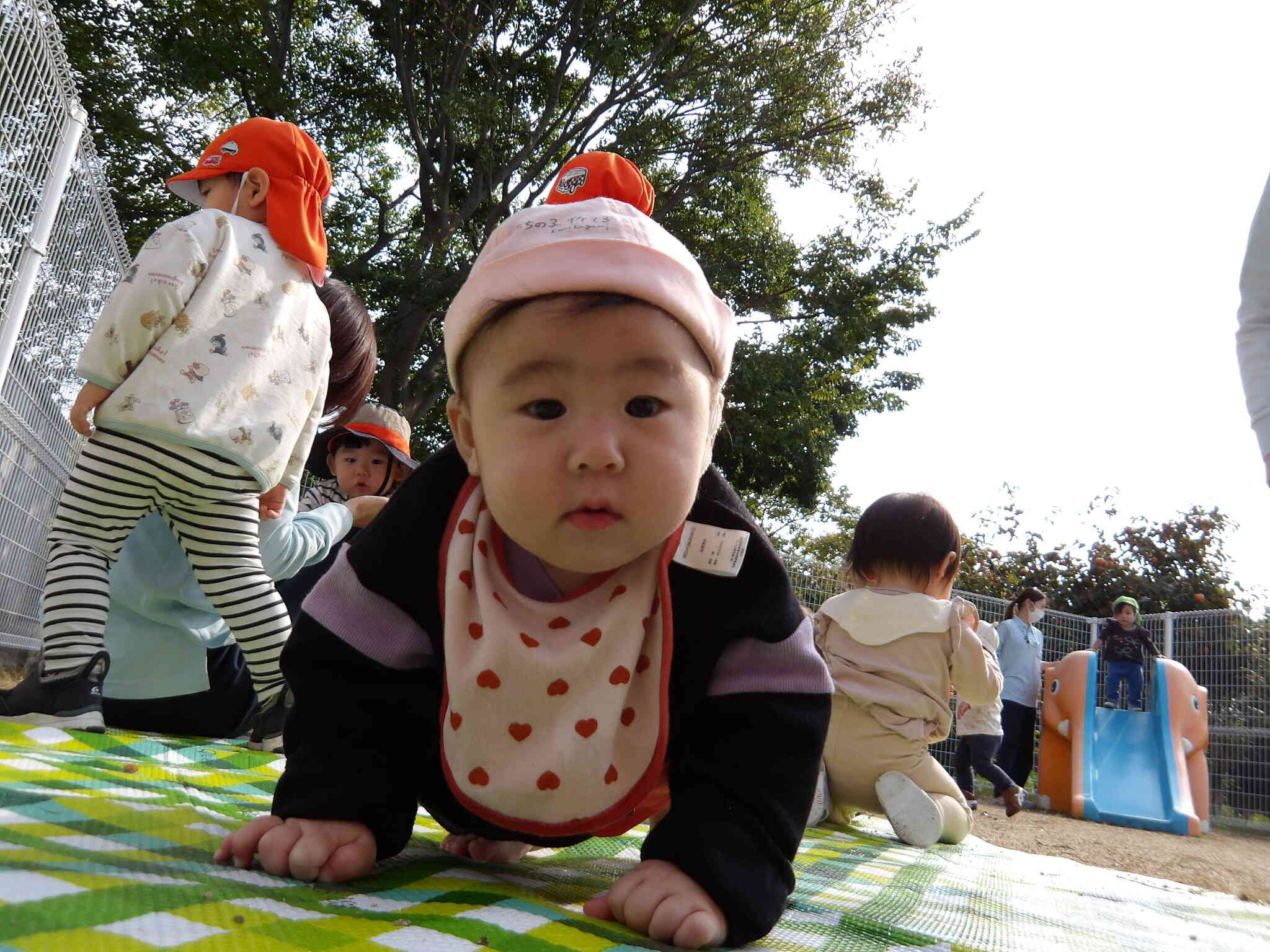 葉っぱ、みーつけた！！