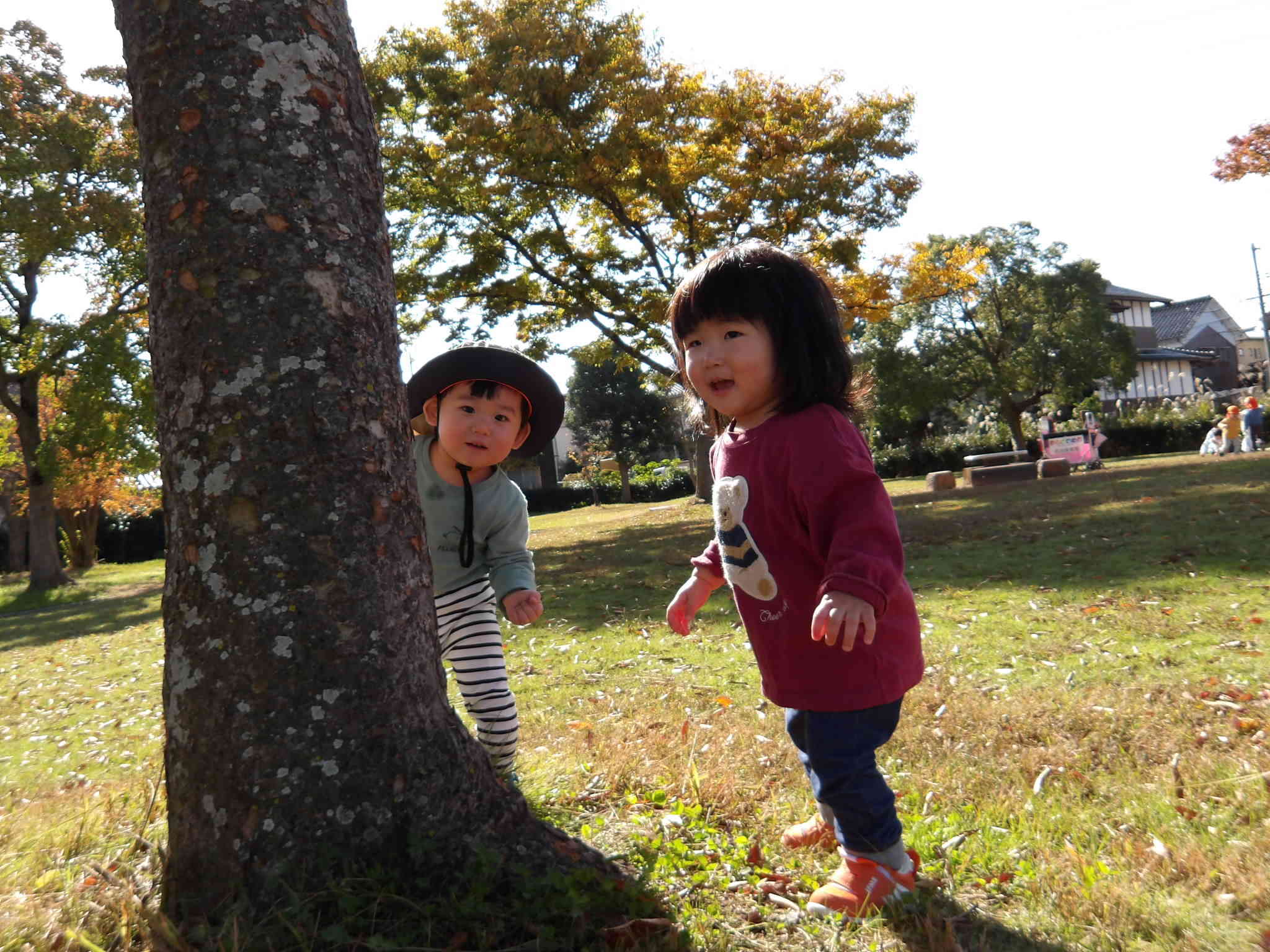 木の影からばぁ！
