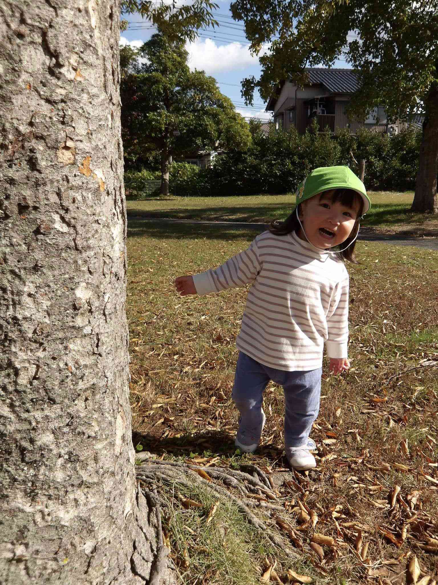 木の影から「ばぁ！」と出てきてくれました。