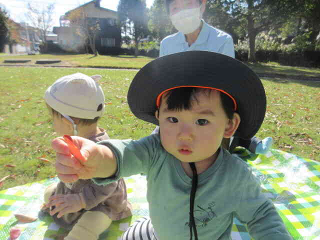 見てみて〜、落ち葉見つけたよ。とひよこ組のMくんが見せてくれましたよ。