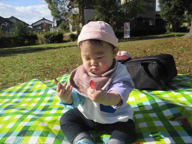 これは何だろうと不思議そうに見つめるひよこ組のNちゃんです。