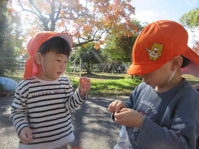 みんなで秋を見つけに行ったよ！(全クラス)