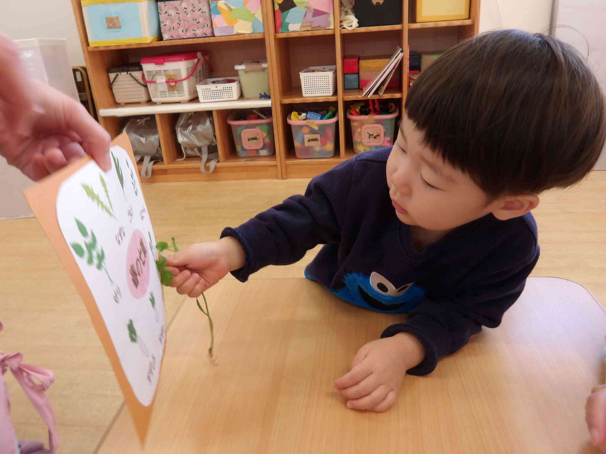 食育　七草のおにぎりづくりをしたよ（うさぎ・あひる組：1・2歳児）