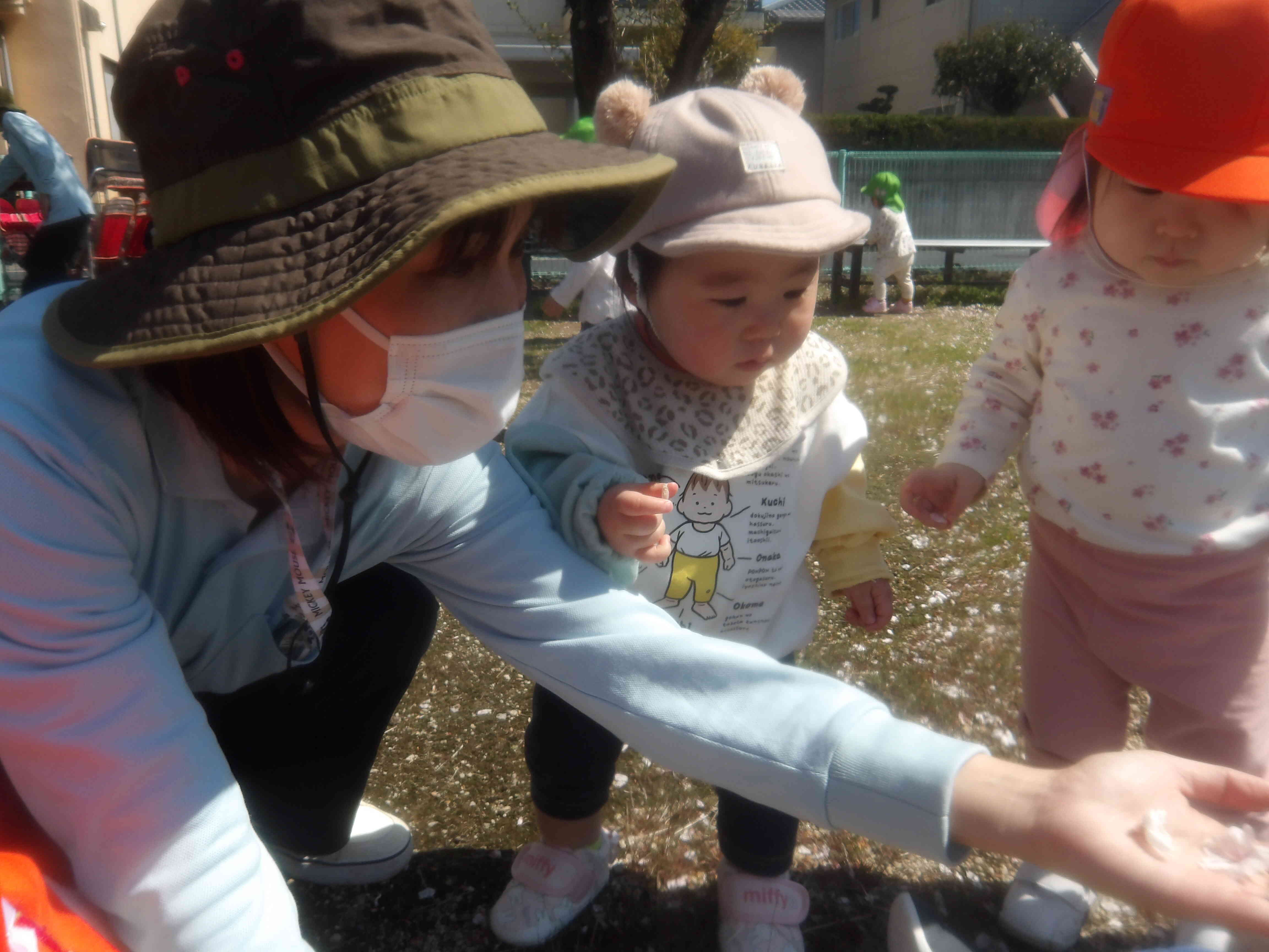 桜の花びらみ〜つけた！